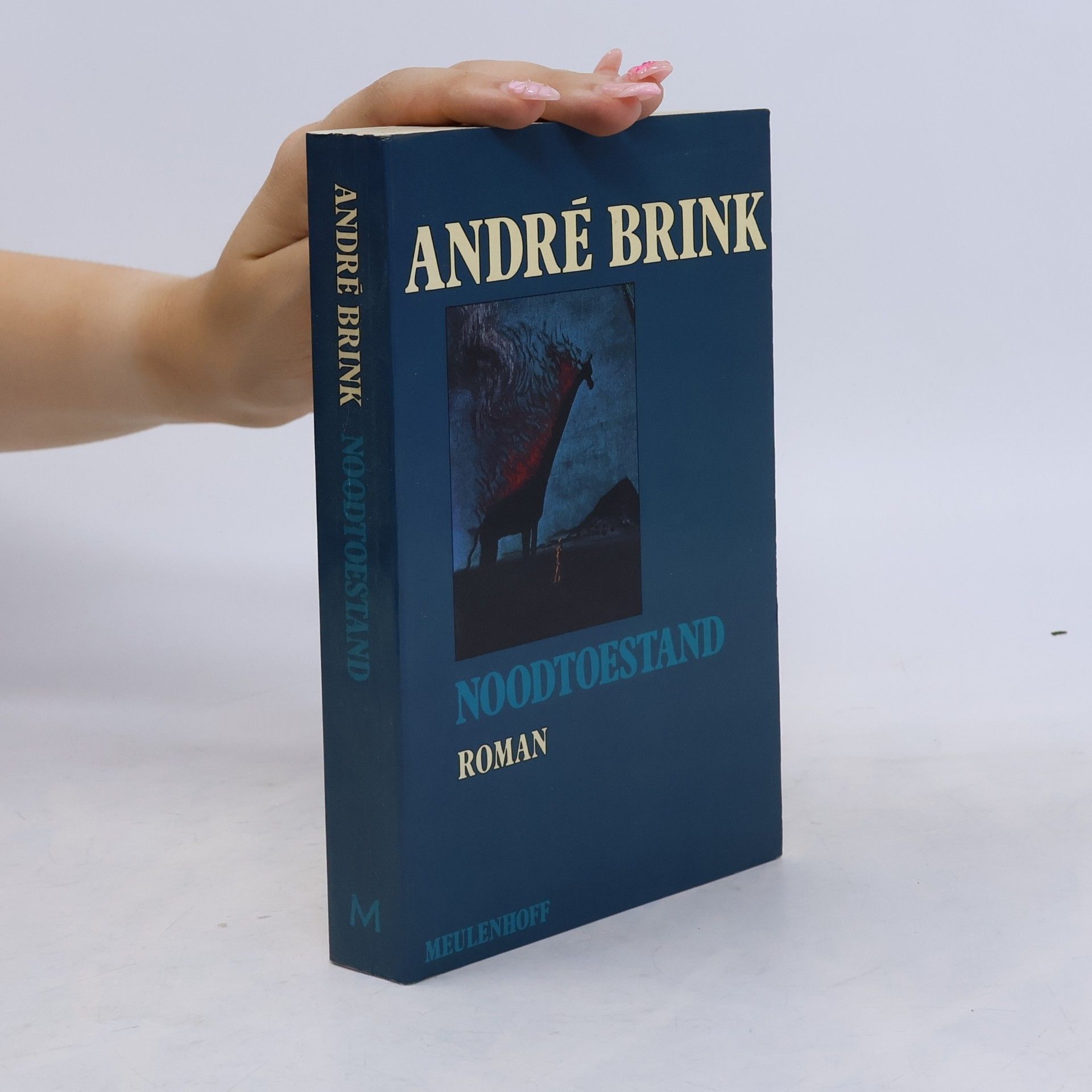 André P. André Philippus Brink Noodtoestand