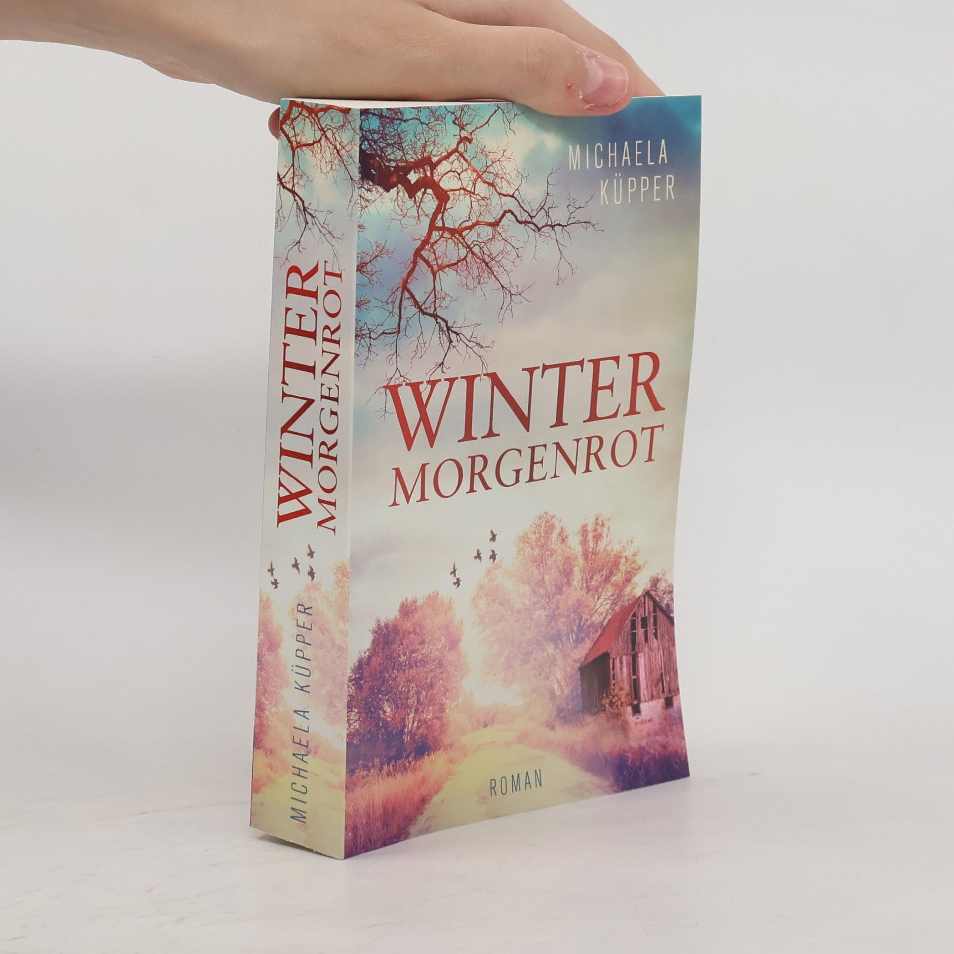 Winter Morgenrot