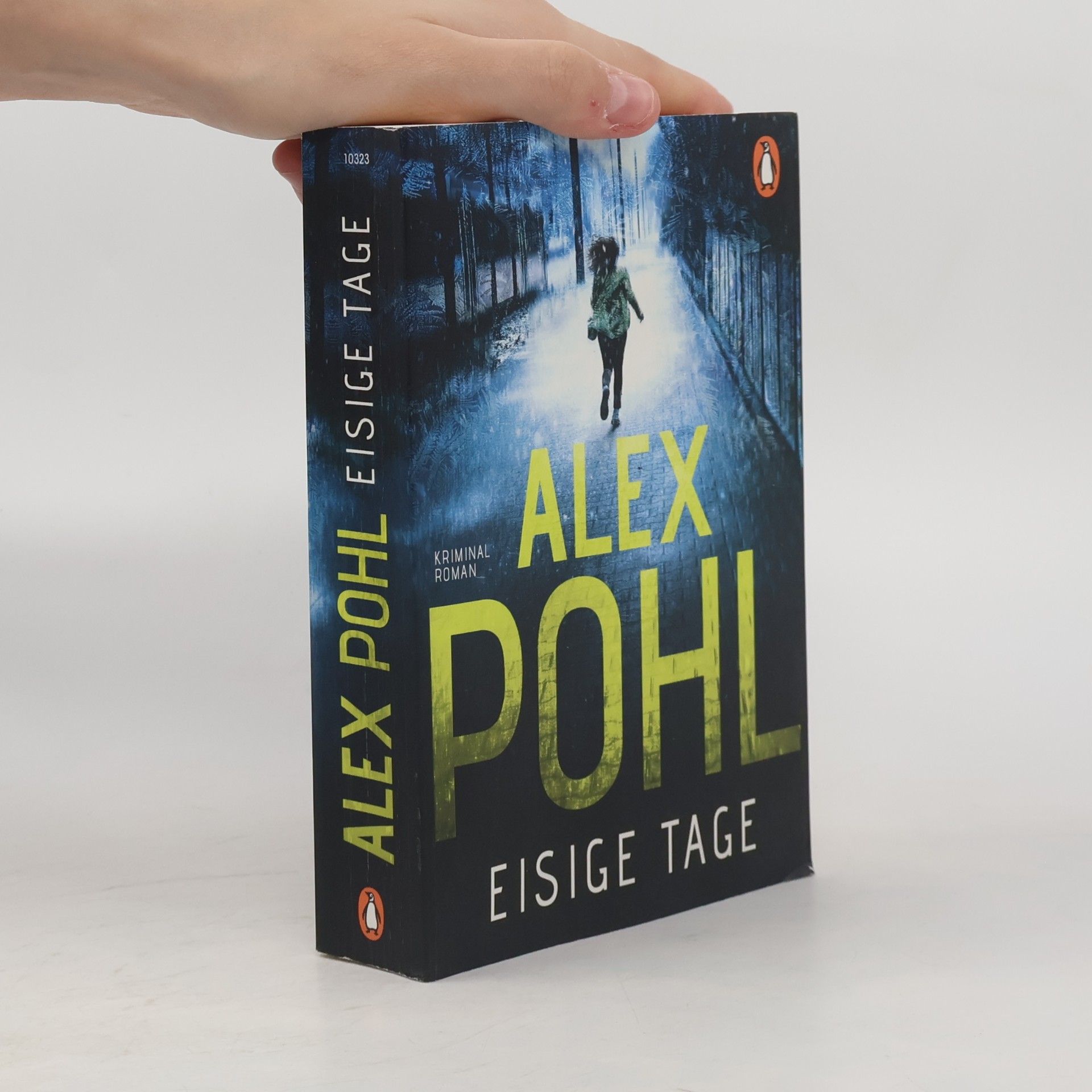 Alex Pohl Eisige Tage