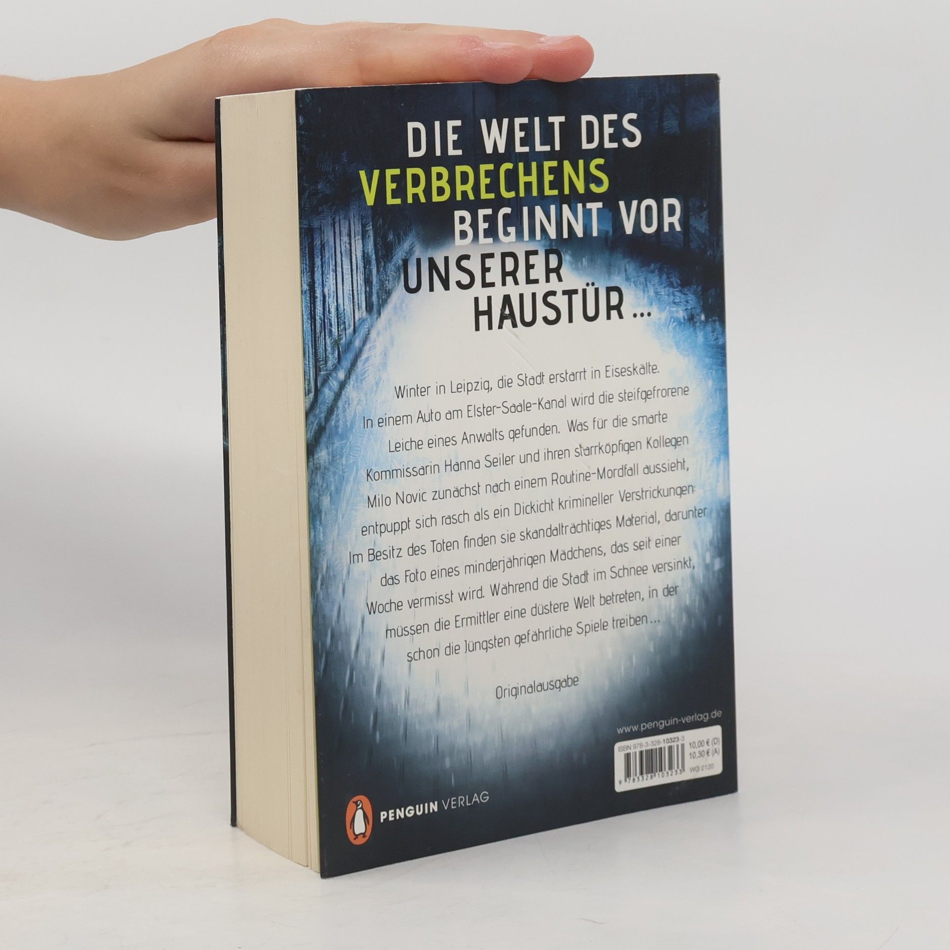 Alex Pohl Eisige Tage