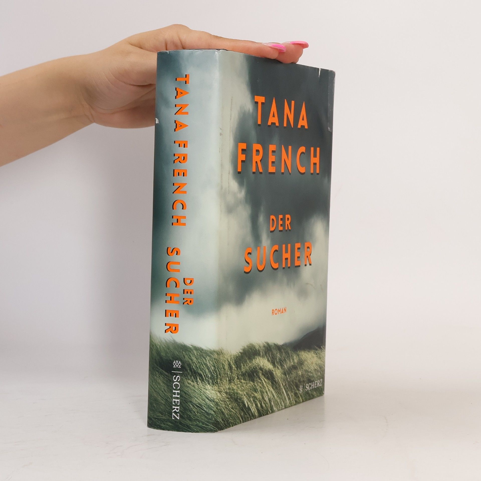 Tana French Der Sucher