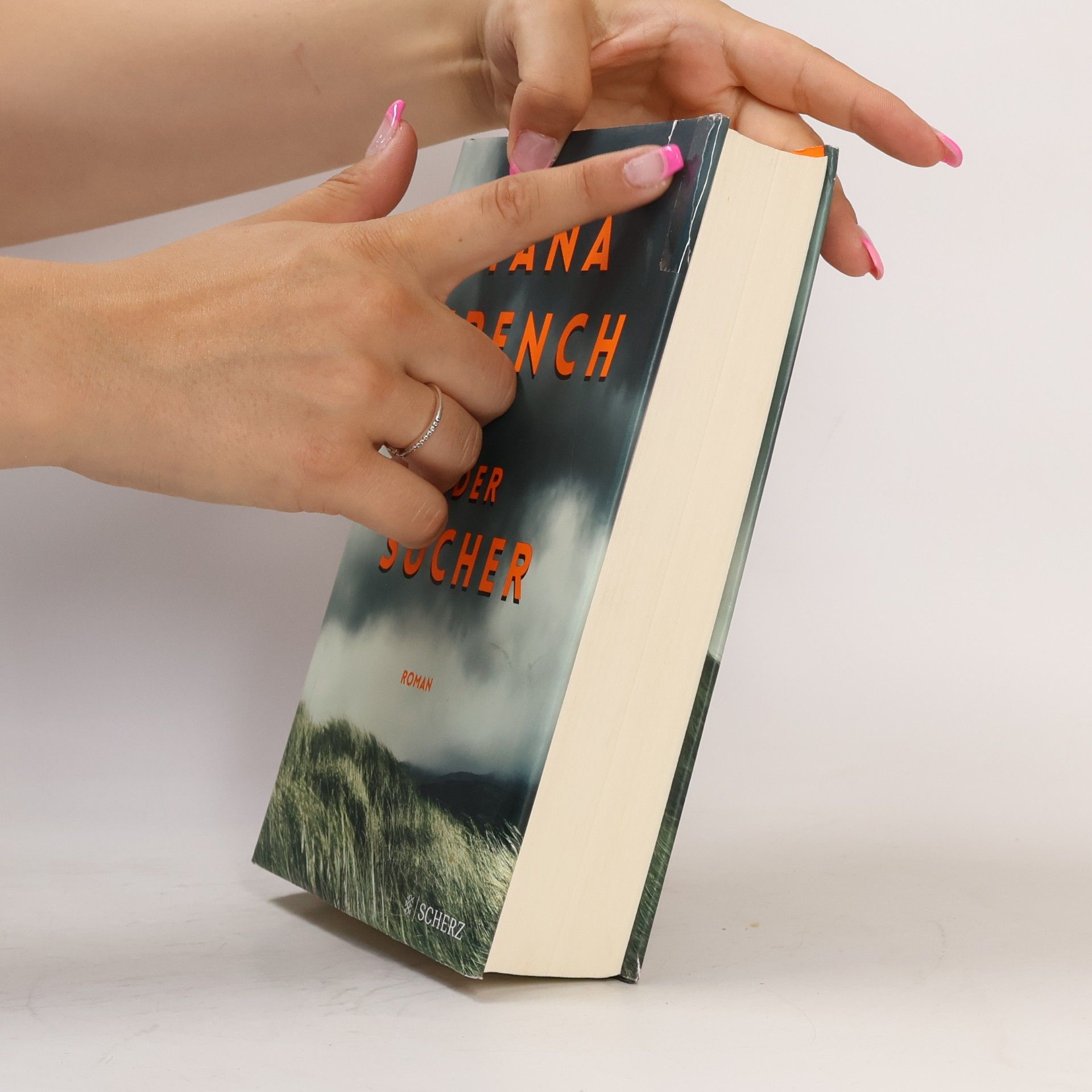 Tana French Der Sucher