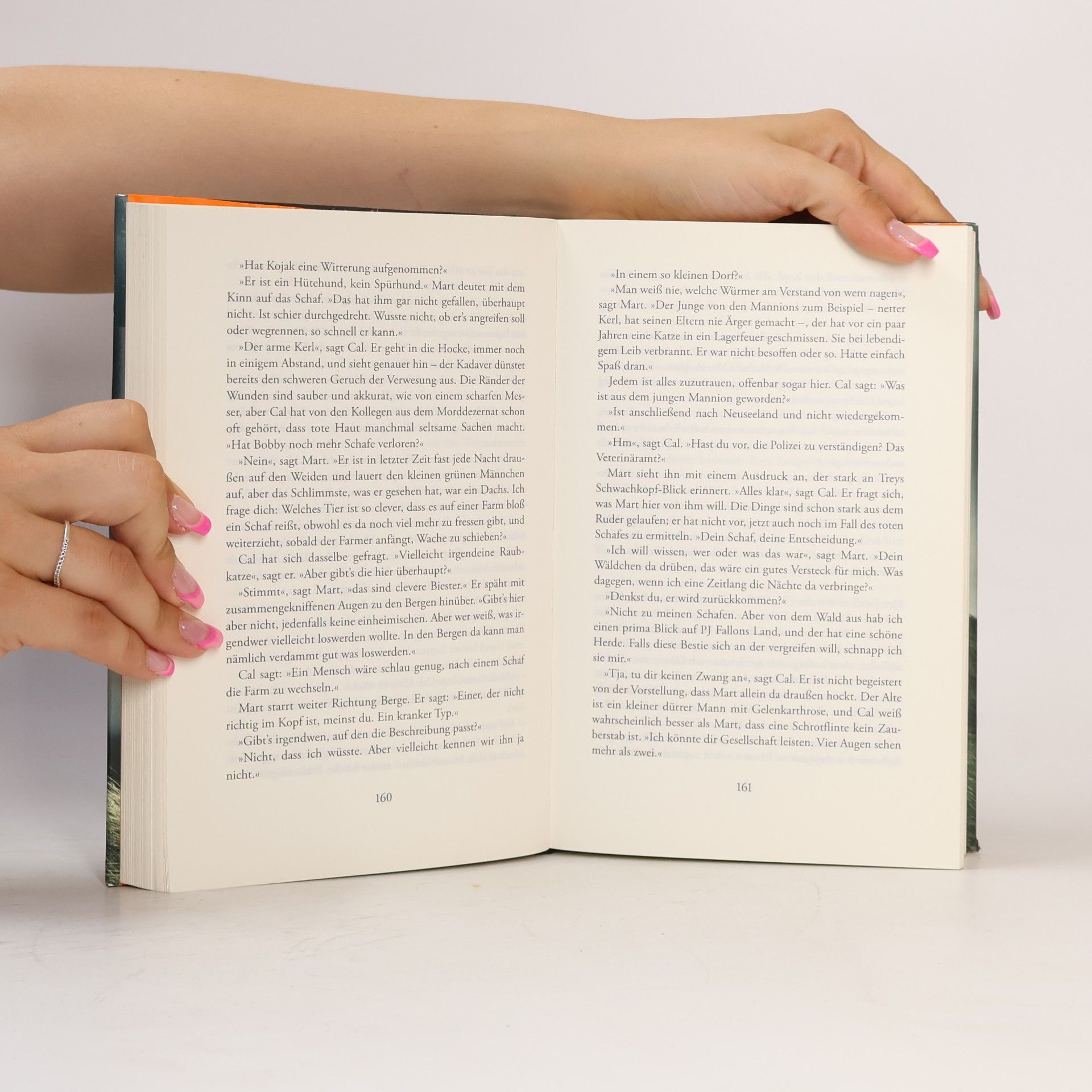 Tana French Der Sucher