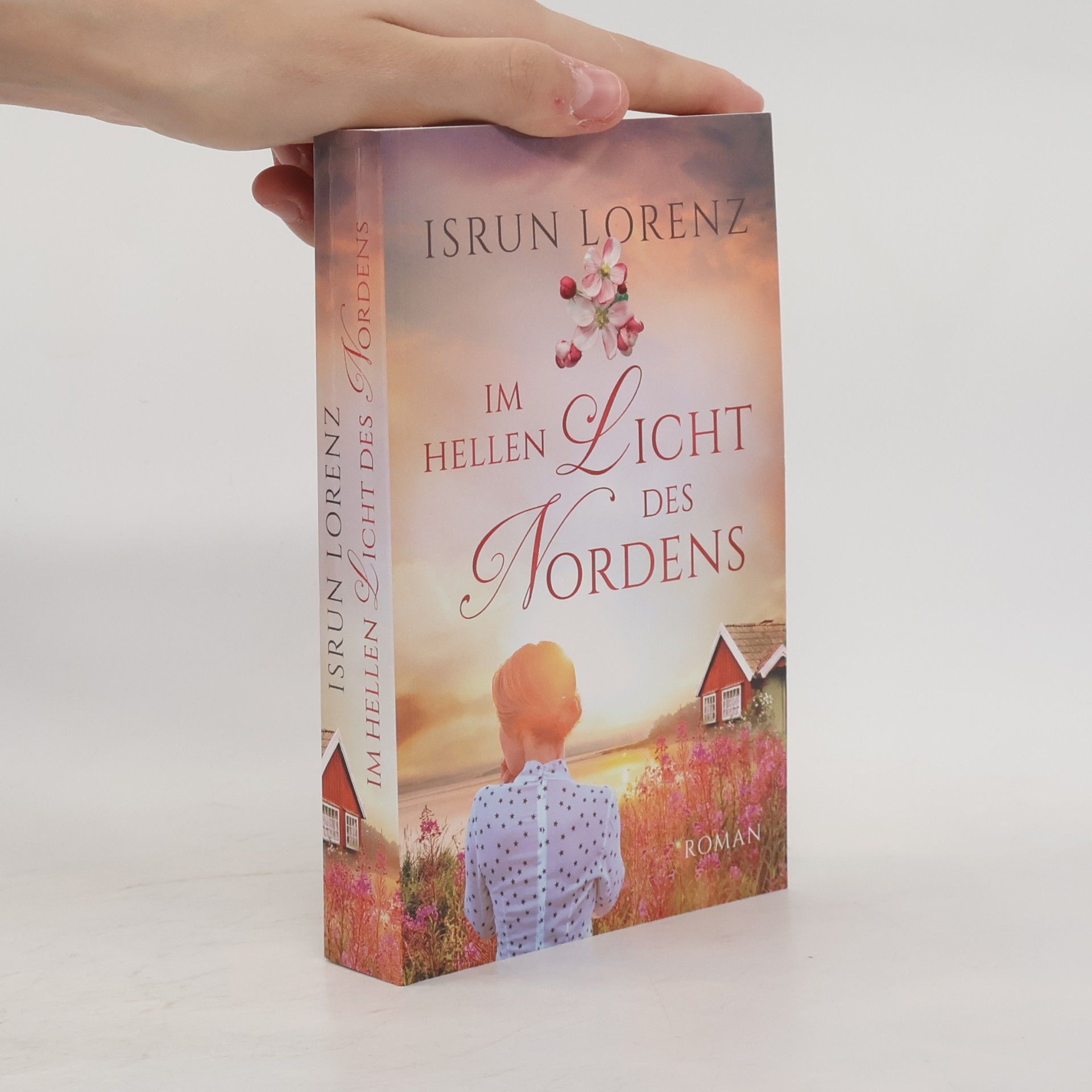 Isrun Lorenz Im helle Licht des Nordens