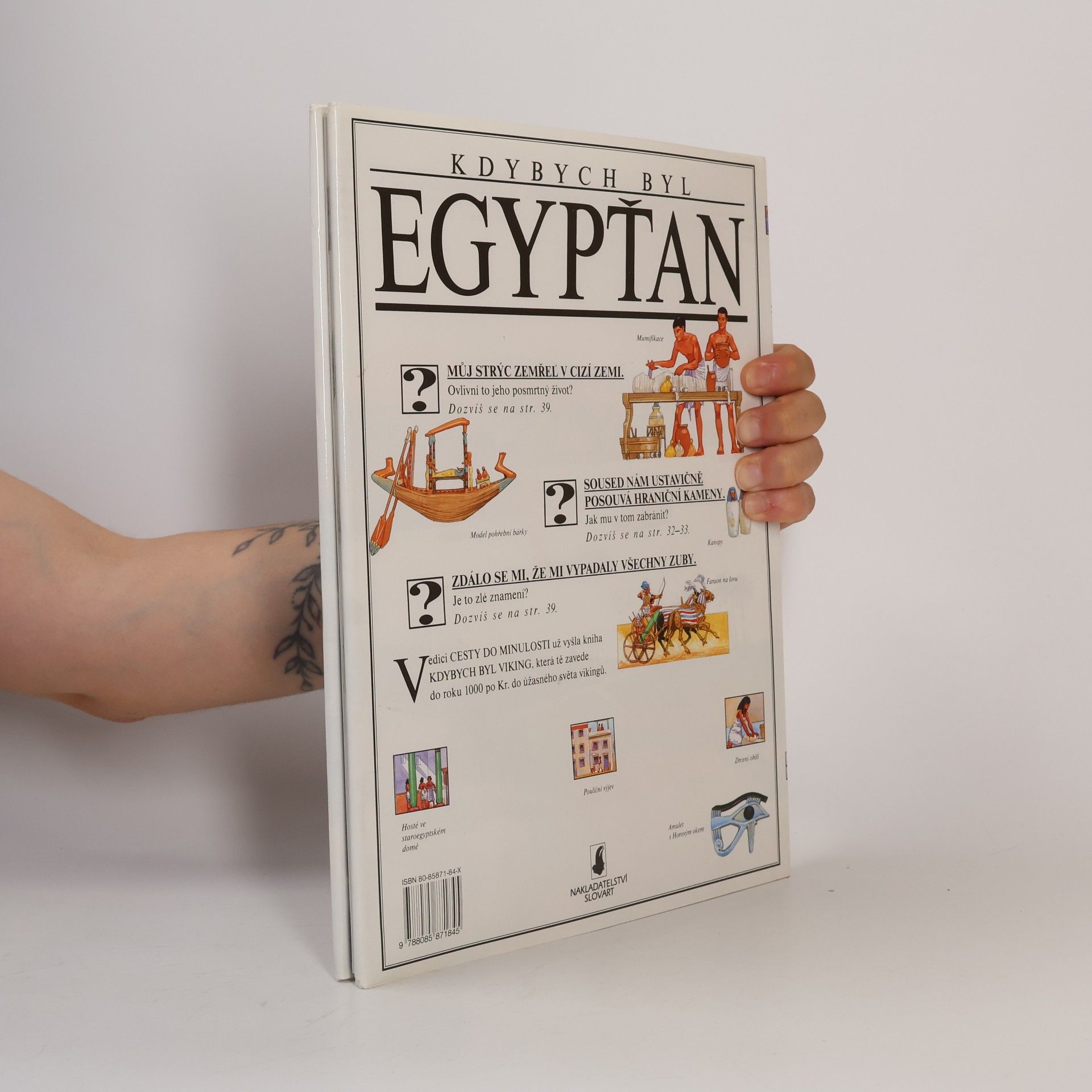Jacqueline Morley Kdybych byl Egypťan