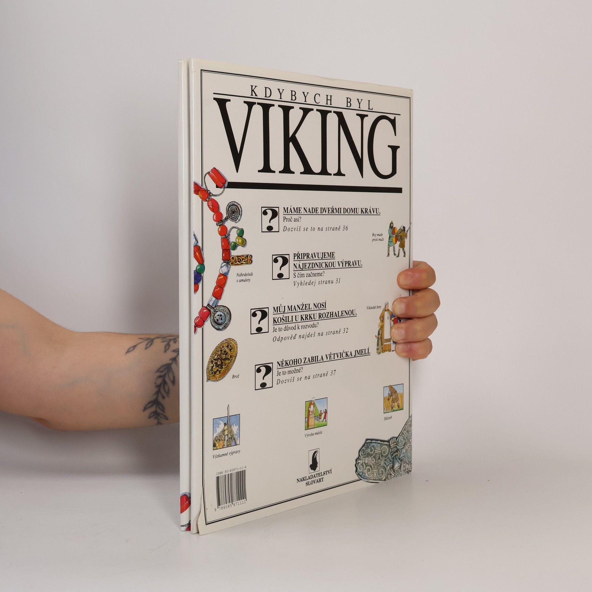 Jacqueline Morley Kdybych byl Viking