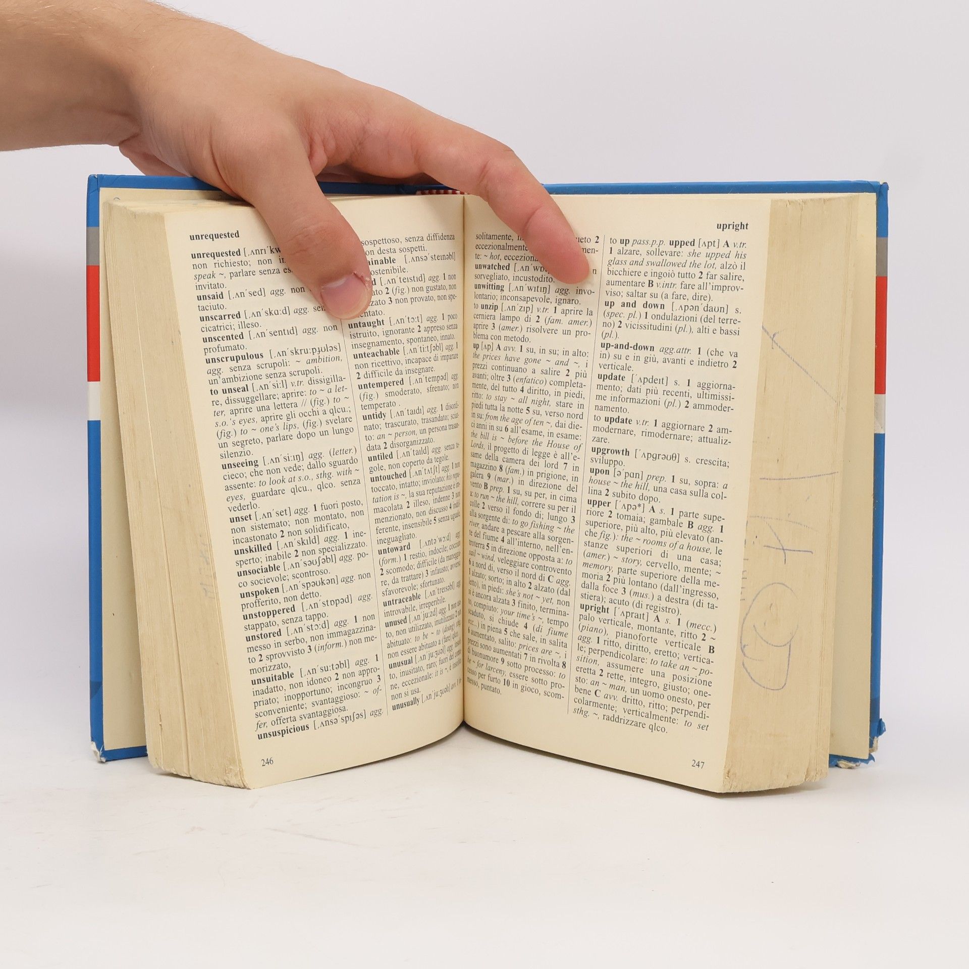 Dizionario inglese. Inglese-italiano, italiano-inglese