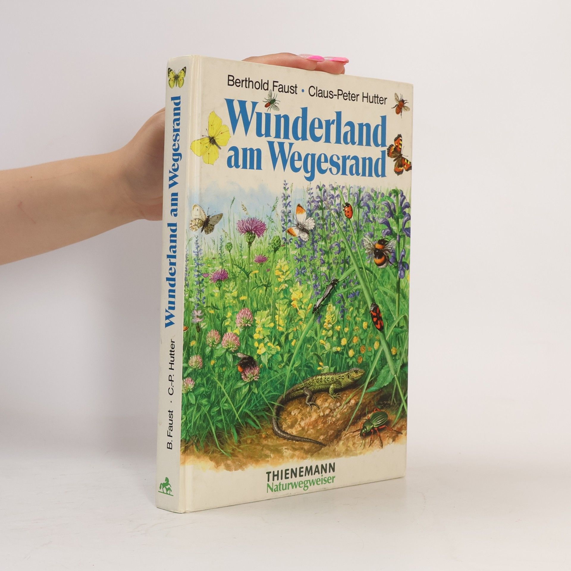Claus-Peter Hutter Wunderland am Wegesrand