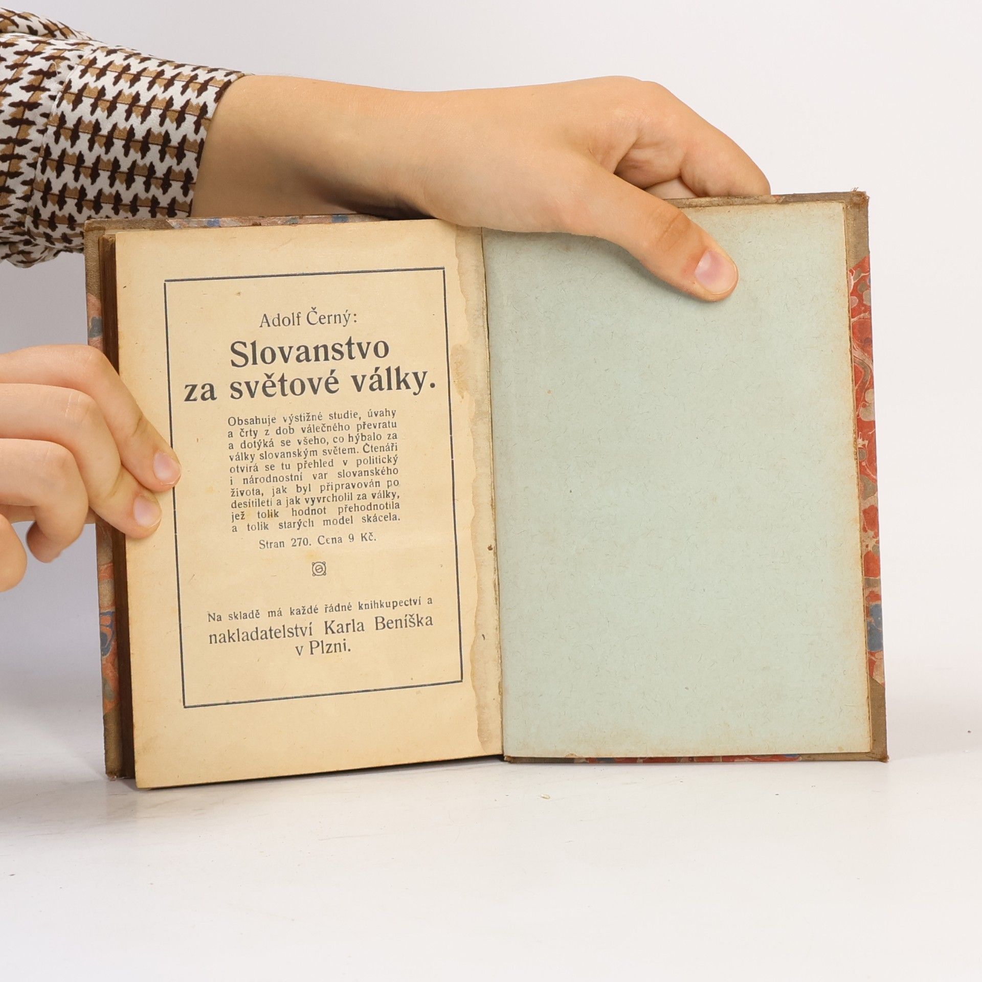 Anna Bajerová Svatodušní bouře v Praze r. 1848 ve světle soudního vyšetřování