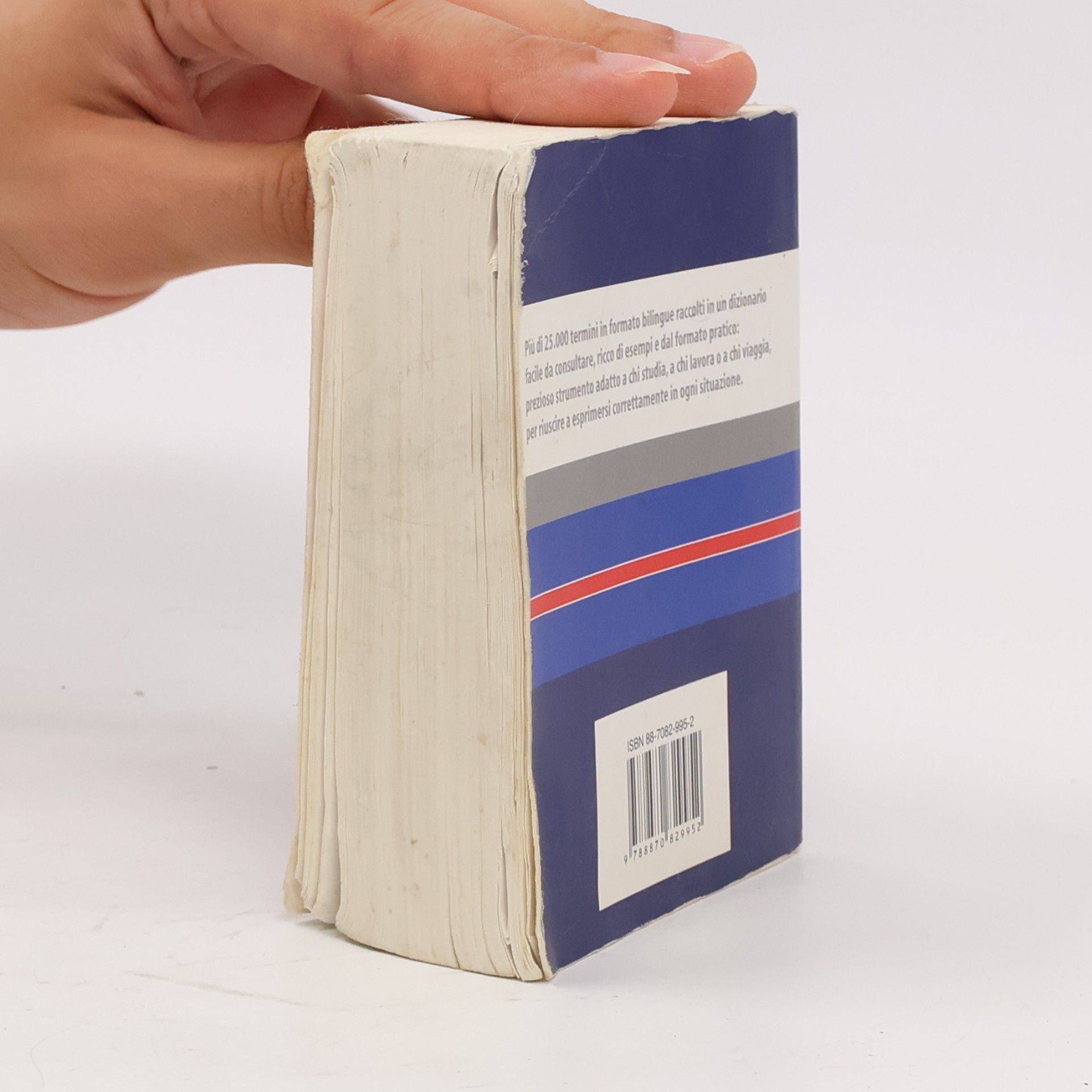 Sara Sesta Dizionario inglese