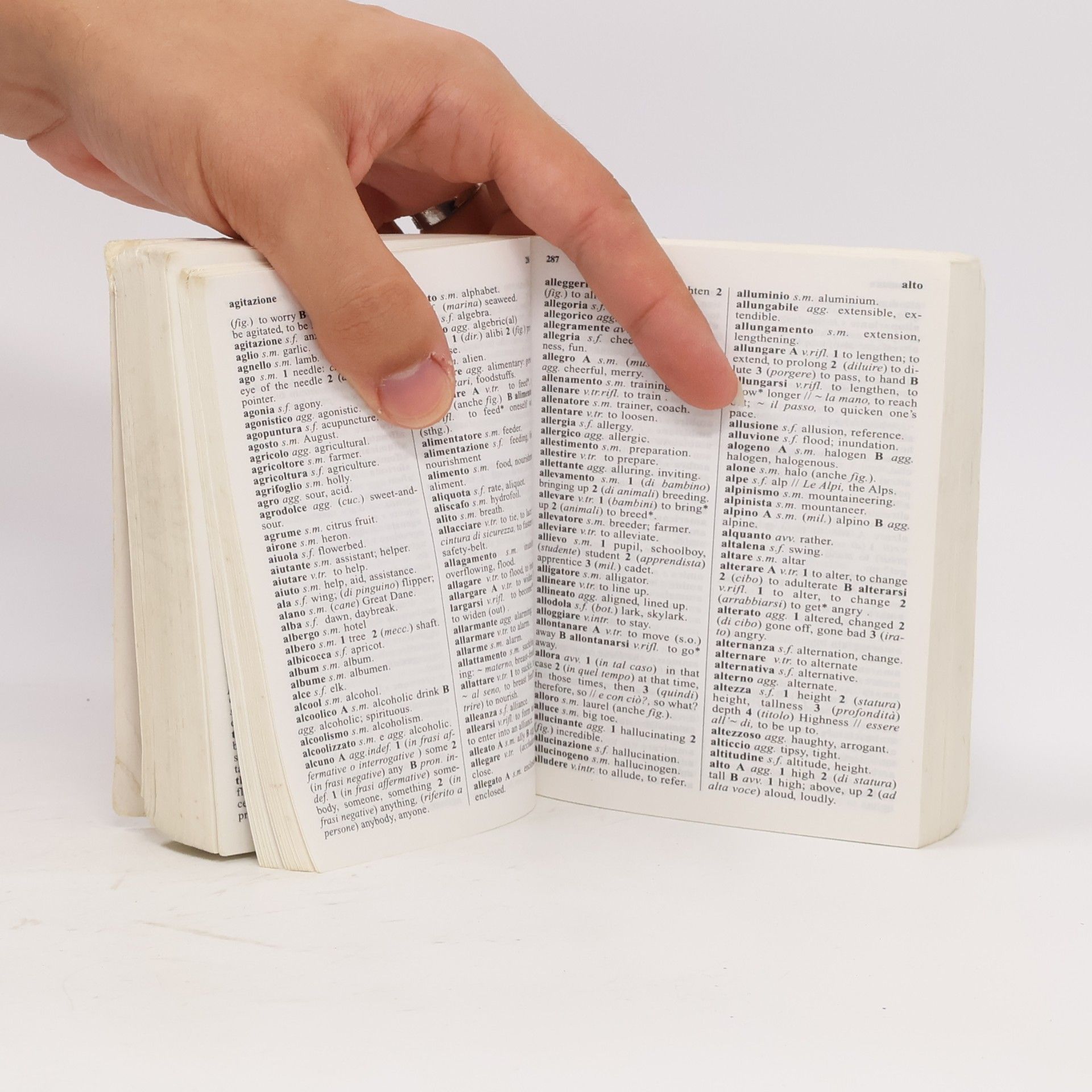 Sara Sesta Dizionario inglese