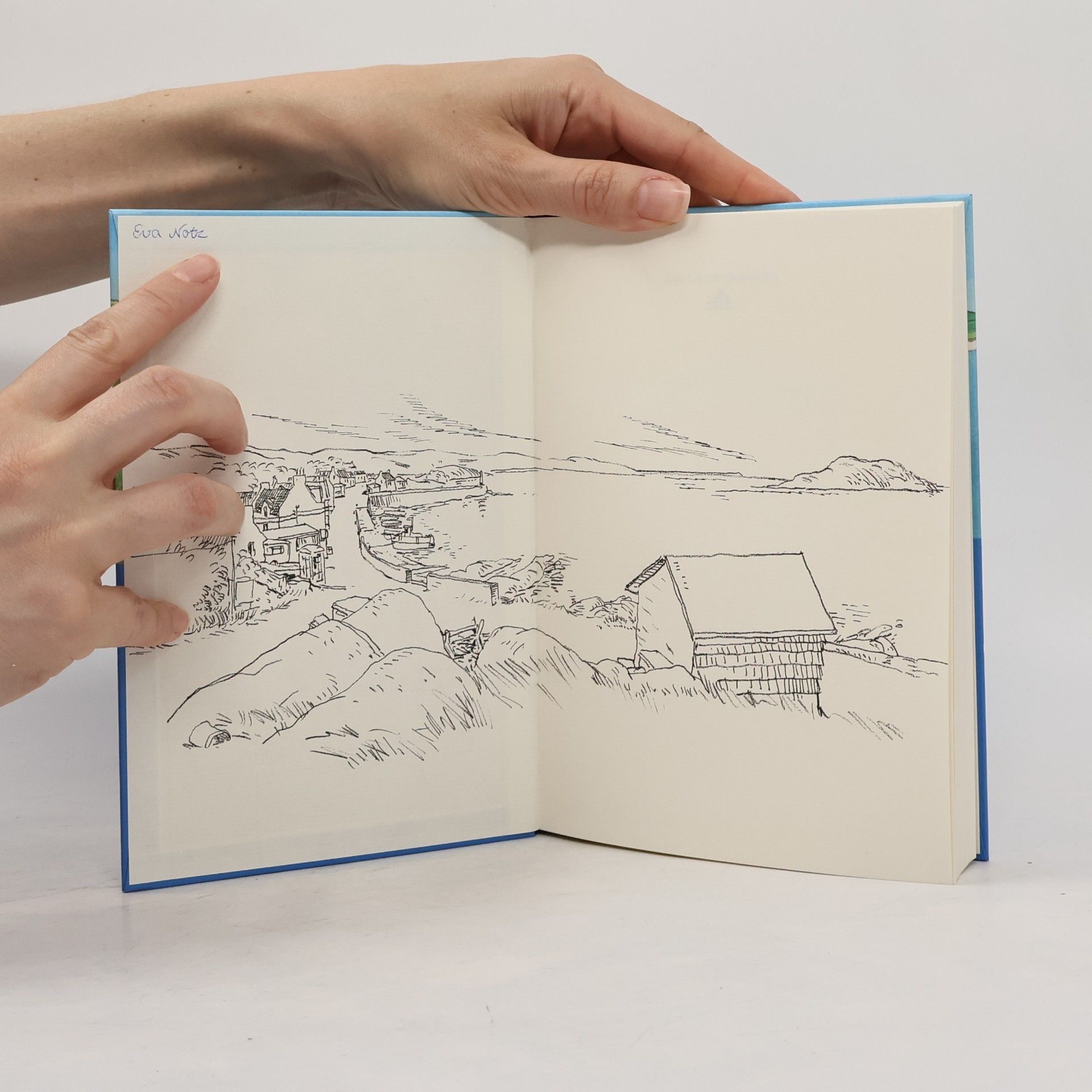 Siobhán Parkinson Die Geschichteninsel. Das Geheimnis von Lady Island