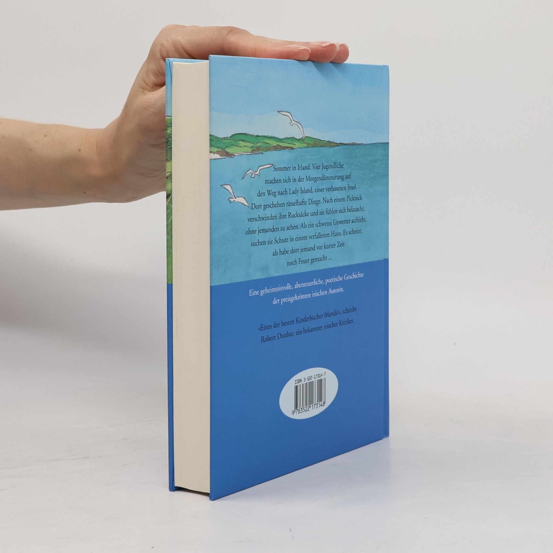 Siobhán Parkinson Die Geschichteninsel. Das Geheimnis von Lady Island