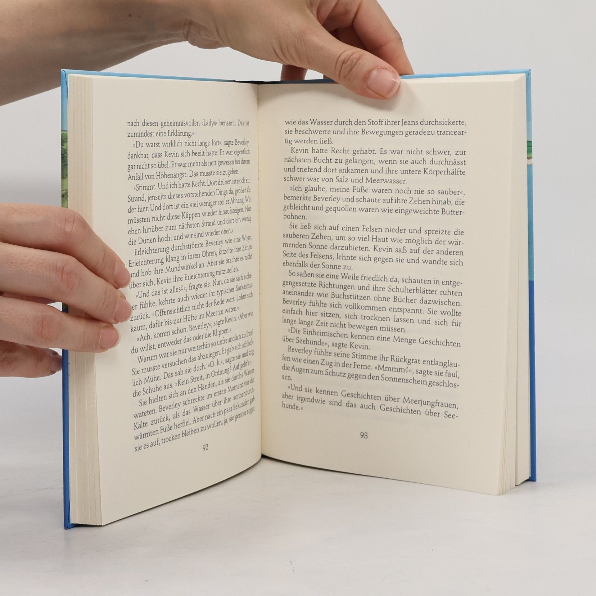 Siobhán Parkinson Die Geschichteninsel. Das Geheimnis von Lady Island
