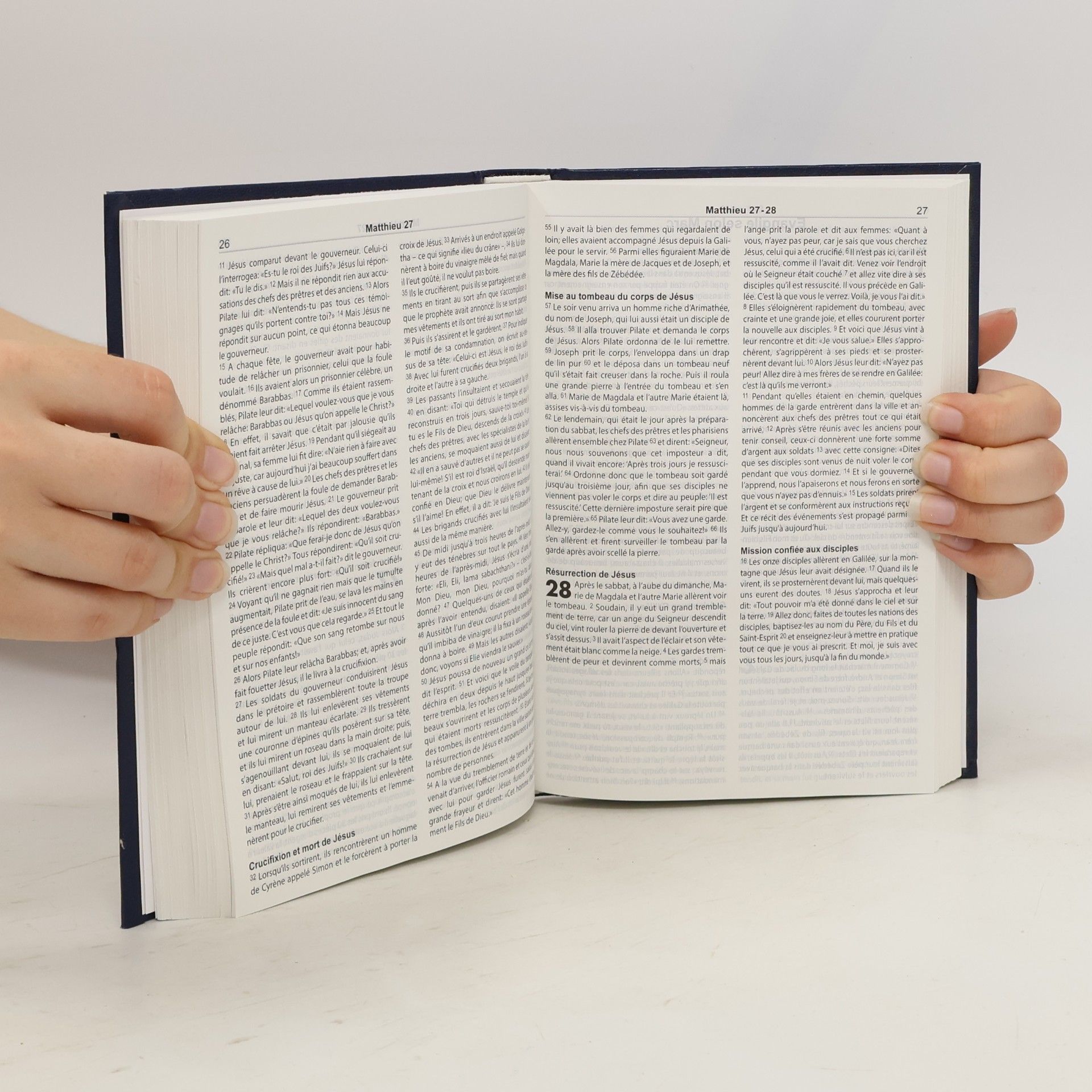 Auteurscollectief Das Neue Testament. Le Nouveau Testament. The New Testament