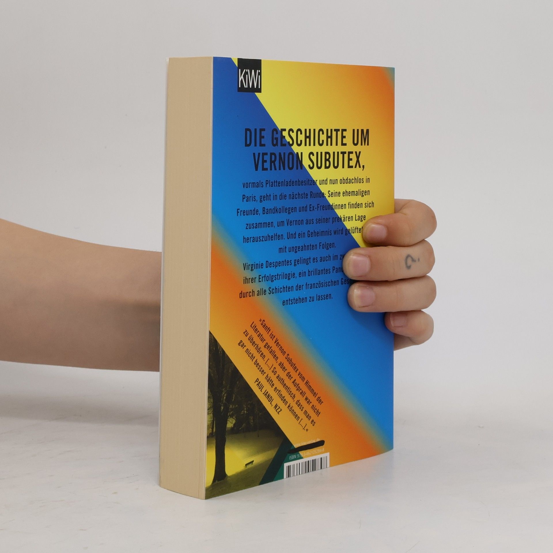 Virginie Despentes Das Leben des Vernon Subutex 2