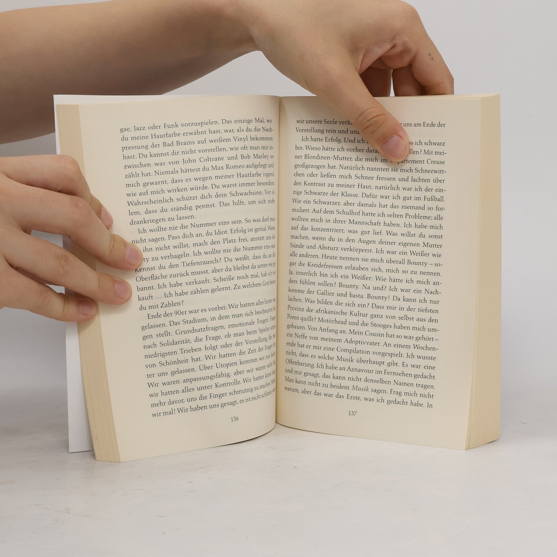 Virginie Despentes Das Leben des Vernon Subutex 2