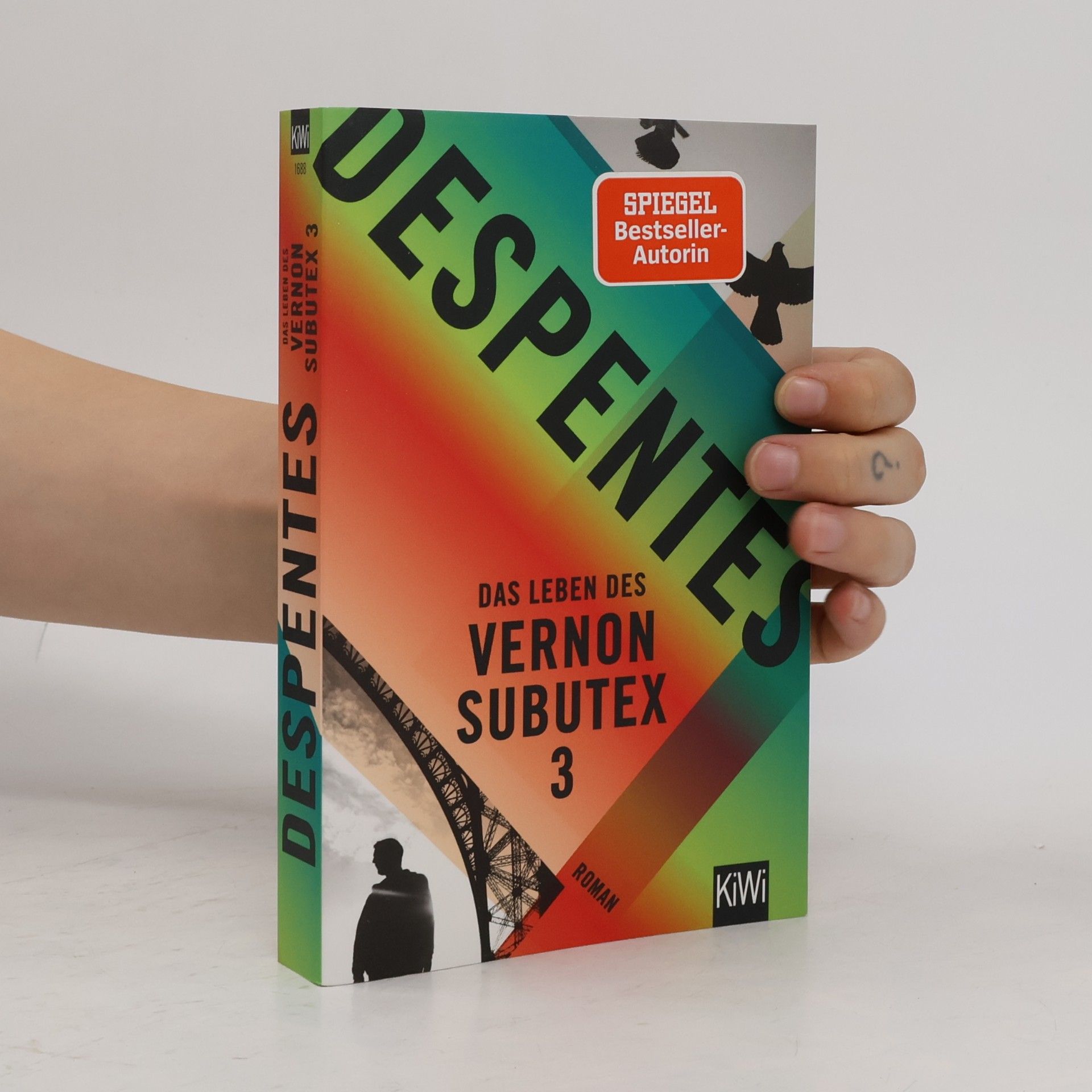 Virginie Despentes Das Leben des Vernon Subutex 3