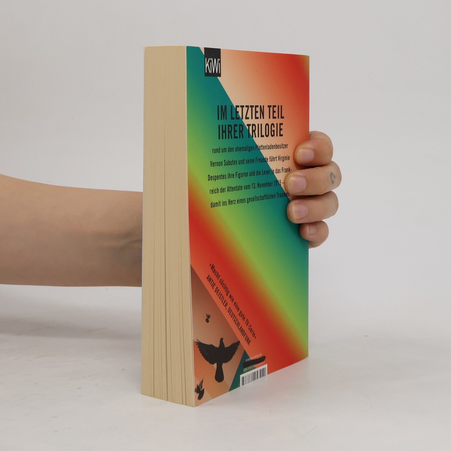 Virginie Despentes Das Leben des Vernon Subutex 3