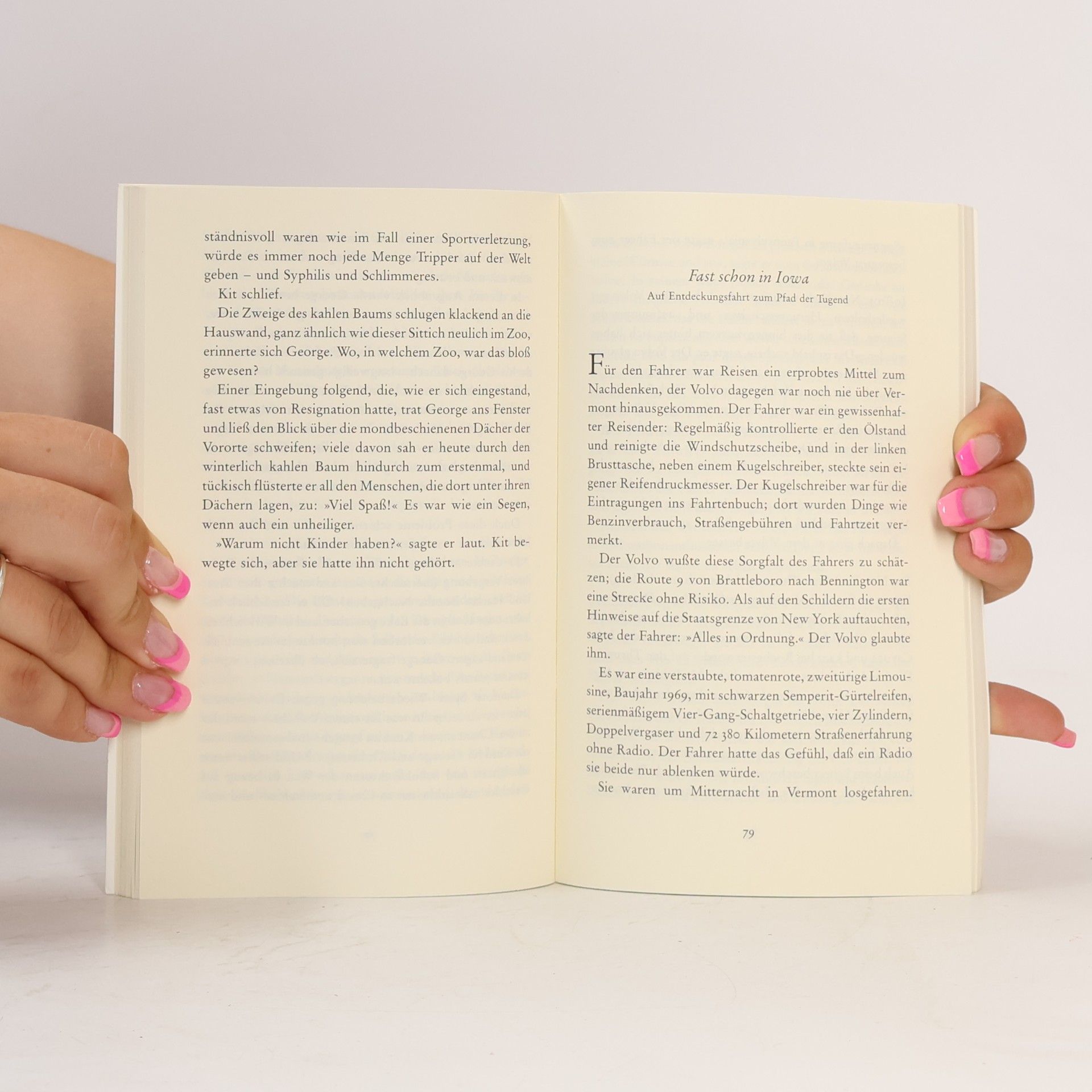 John Irving Rettungsversuch für Piggy Sneed