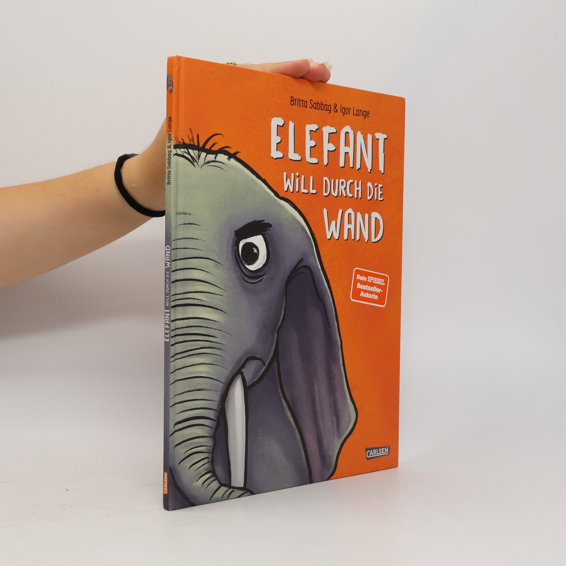 Britta Sabbag Elefant will durch die Wand