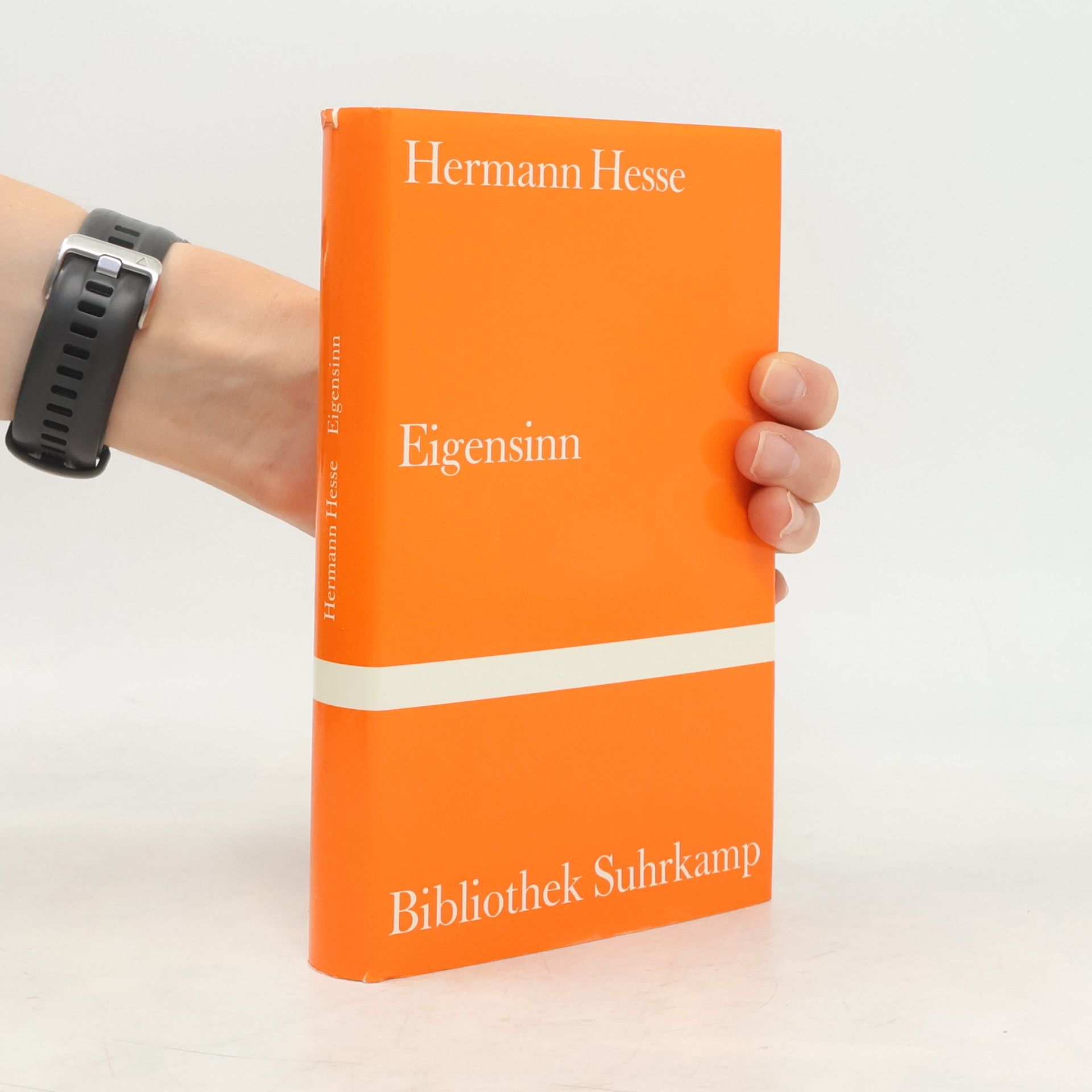 Hermann Hesse Eigensinn