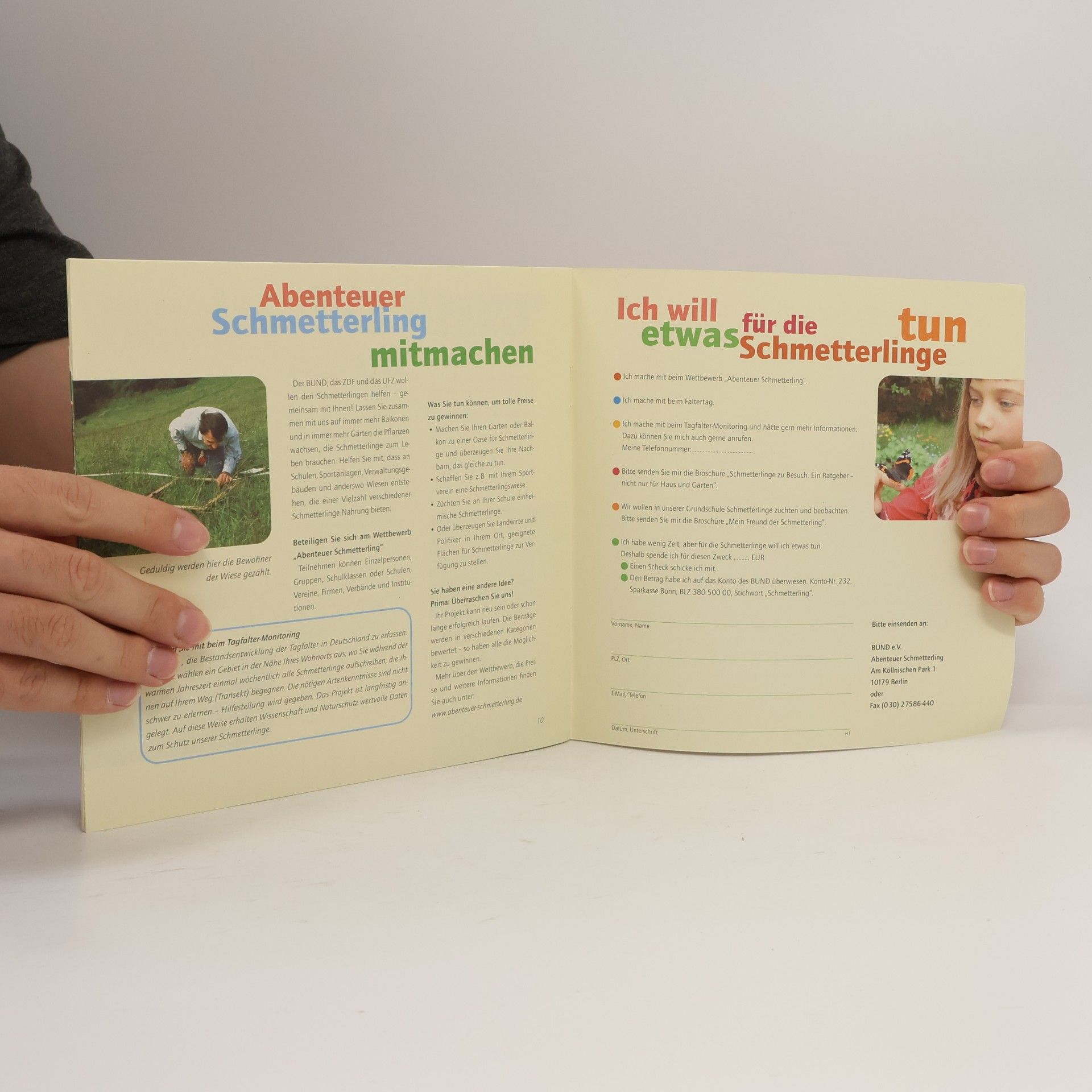 kolektiv Schmetterlinge schützen