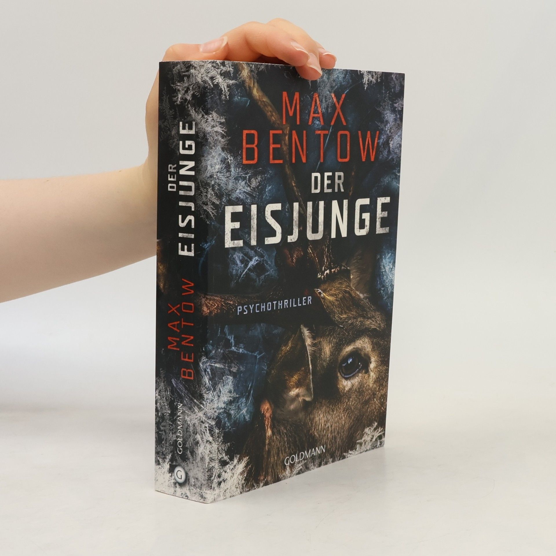 Max Bentow Der Eisjunge
