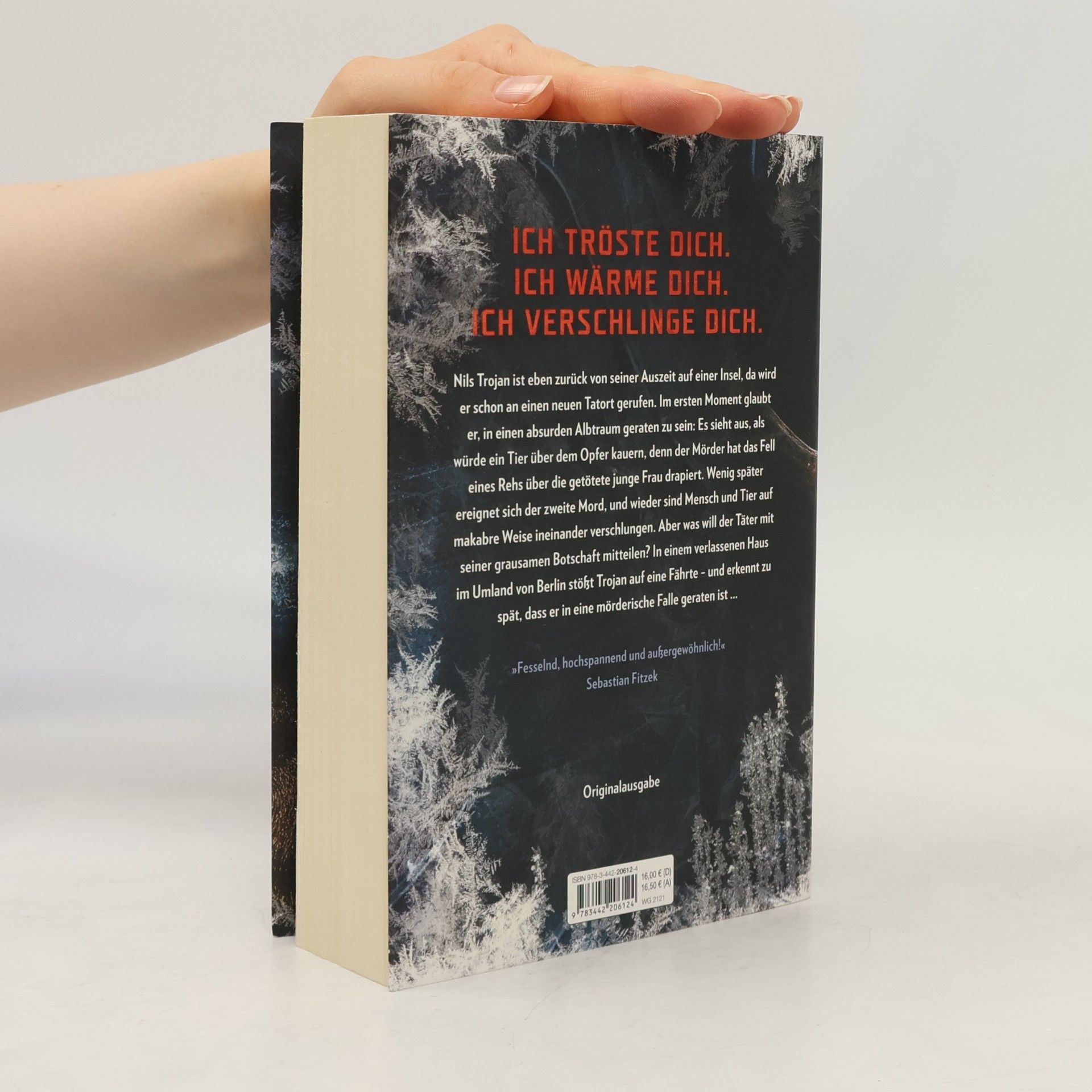 Max Bentow Der Eisjunge