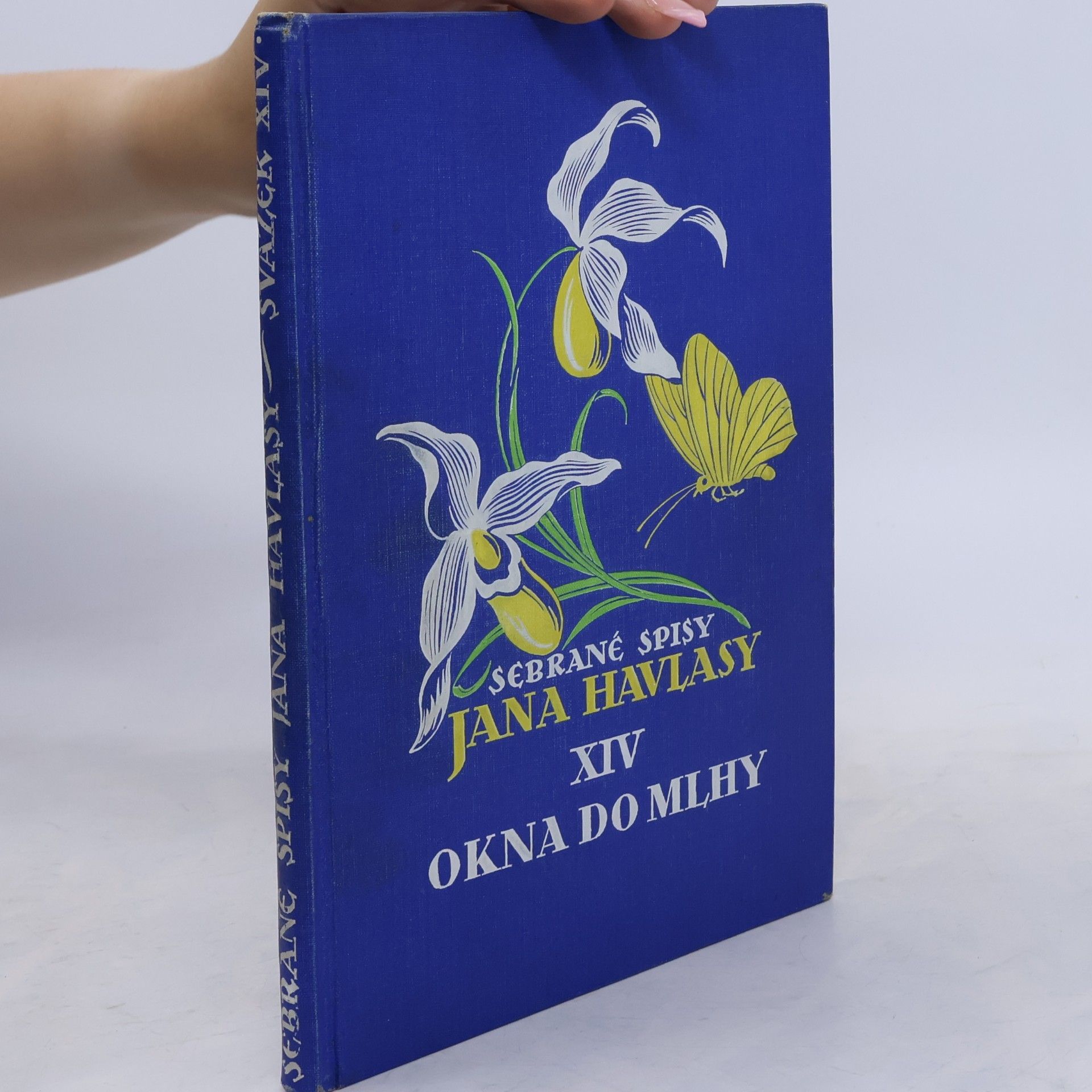 Sebrané spisy Jana Havlasy XIV : Okna do mlhy