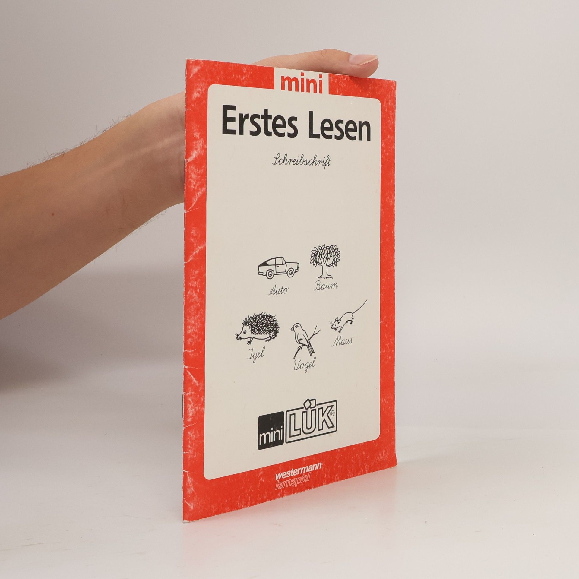 mini LÜK: Erstes Lesen