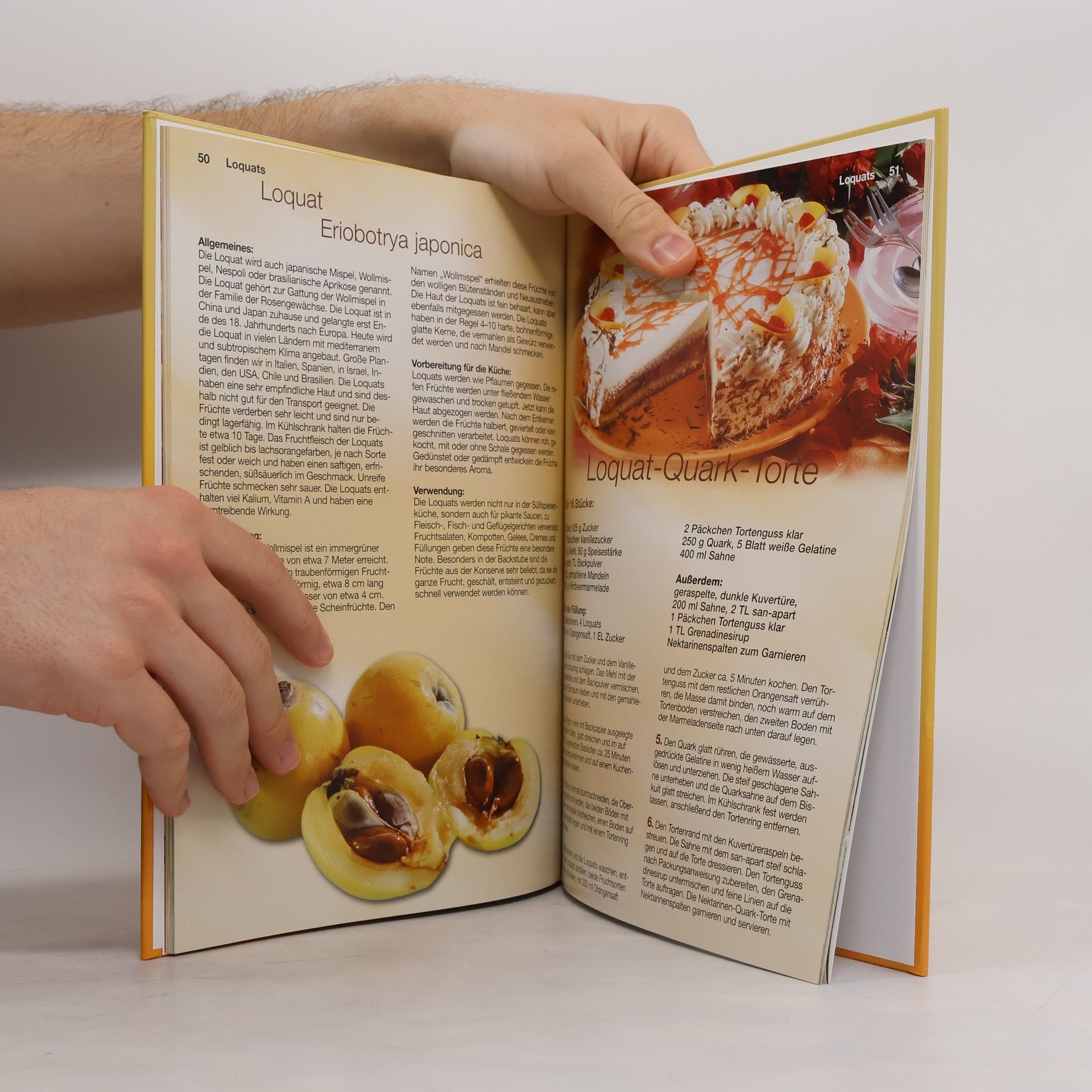 Autorenkollektiv Exotische Früchte
