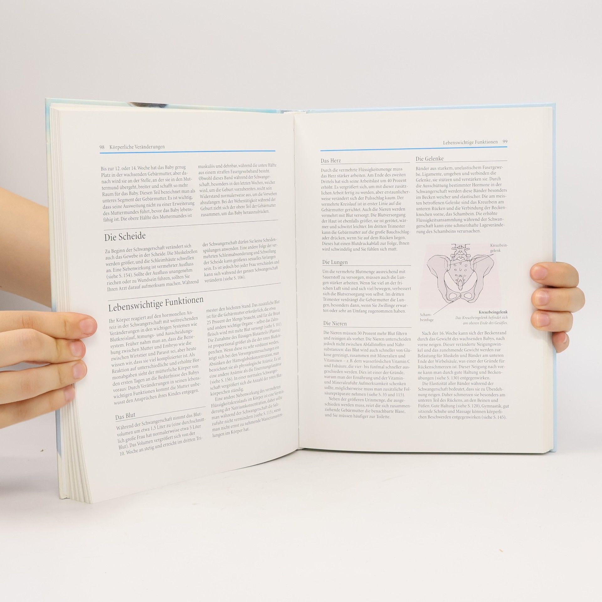 Miriam Stoppard Das große Buch der Schwangerschaft