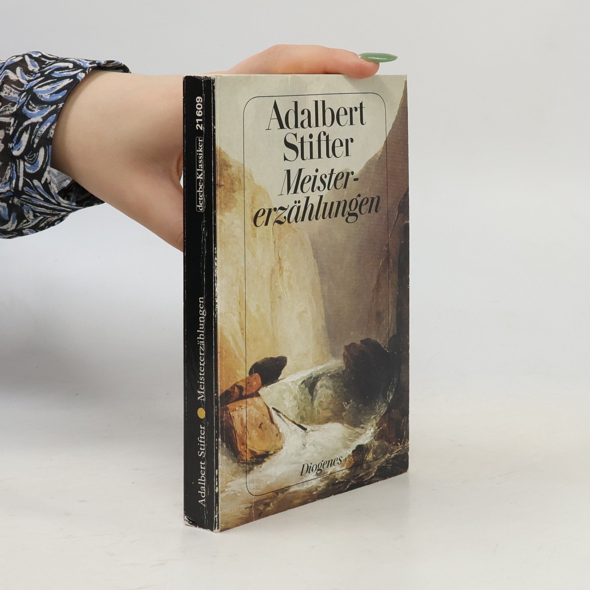 Adalbert Stifter Meistererzählungen