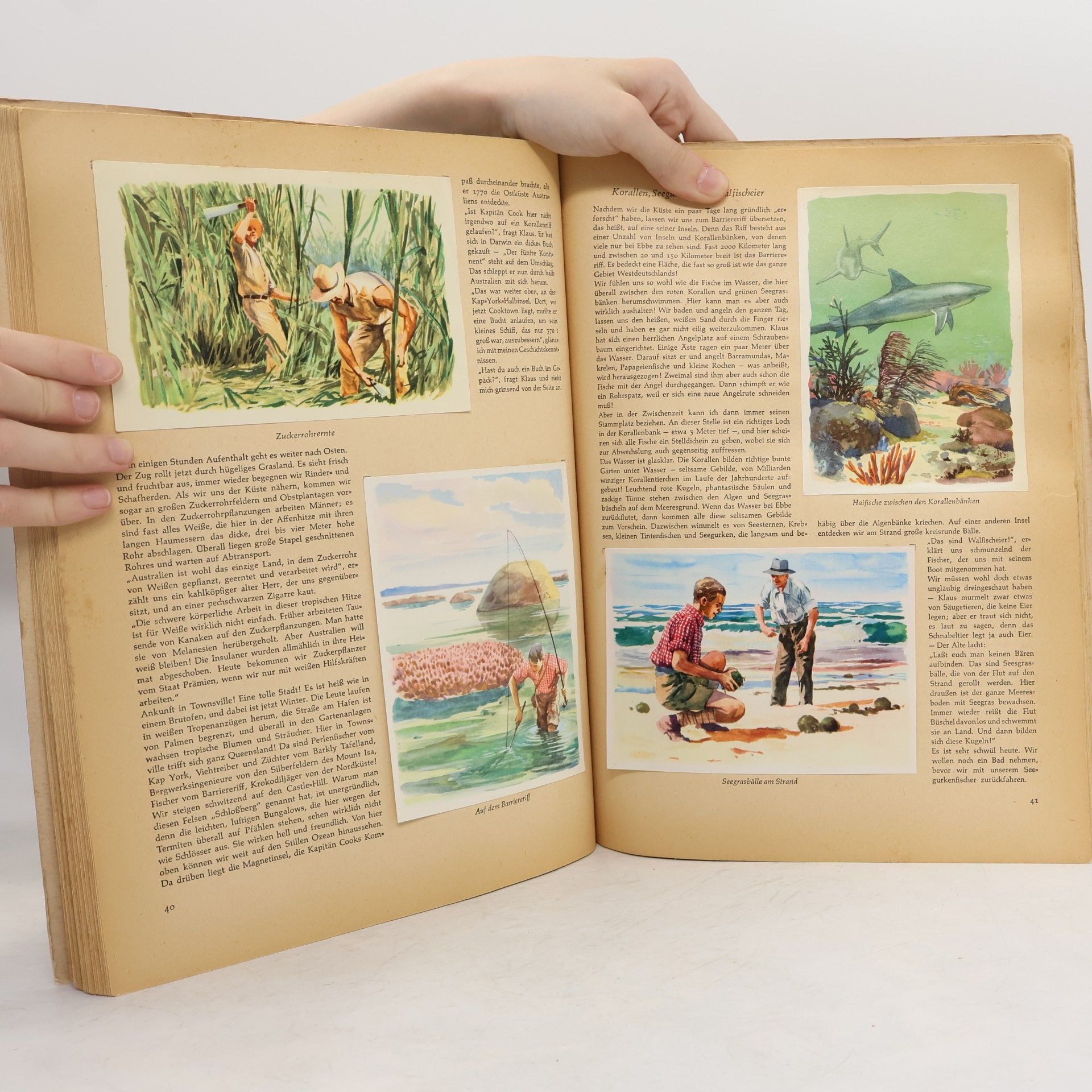 Various authors Australien Neuseeland