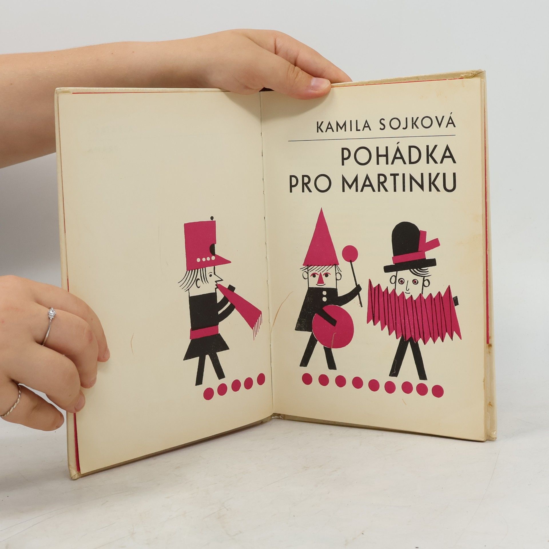 Kamila Sojková Pohádka pro Martinku