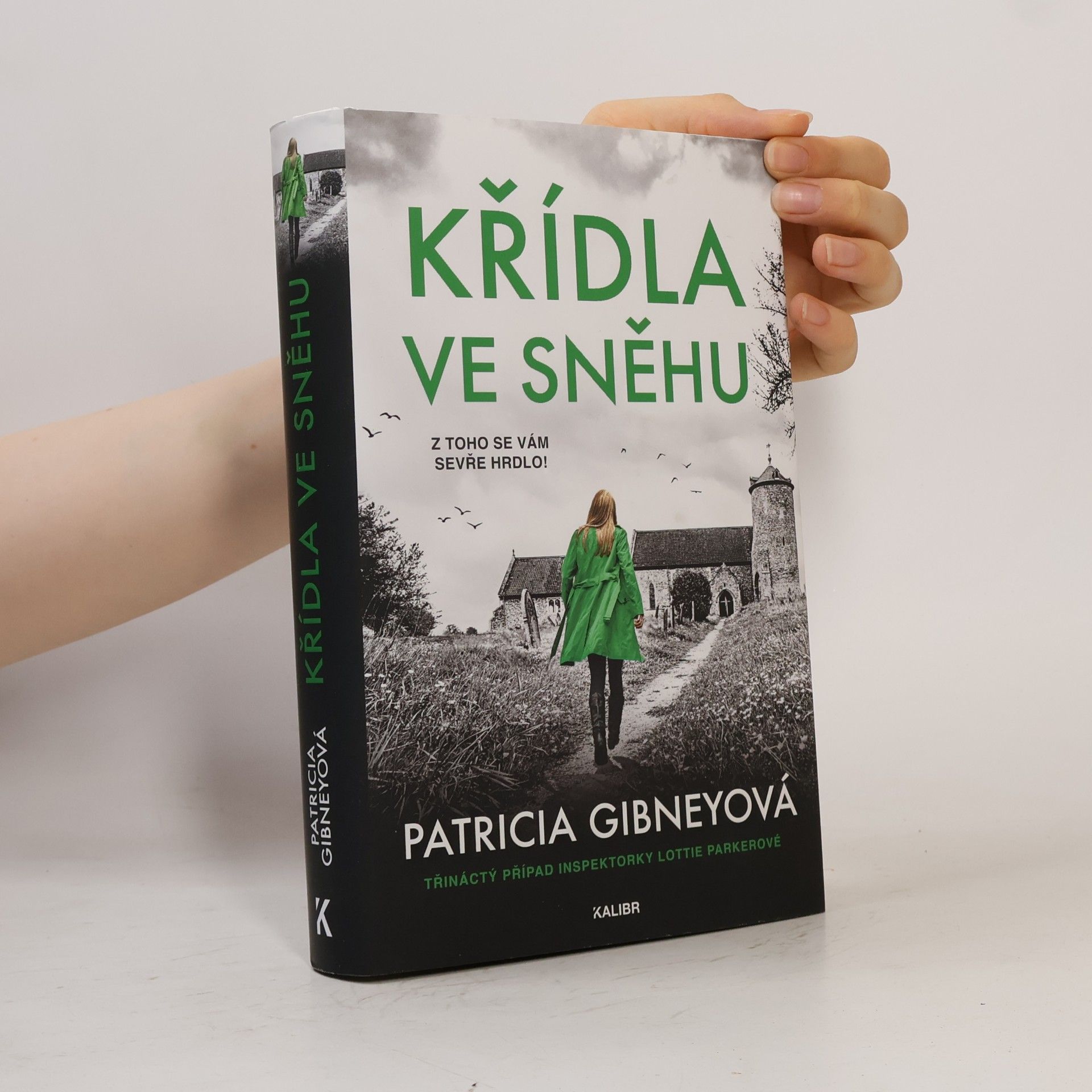 Křídla ve sněhu