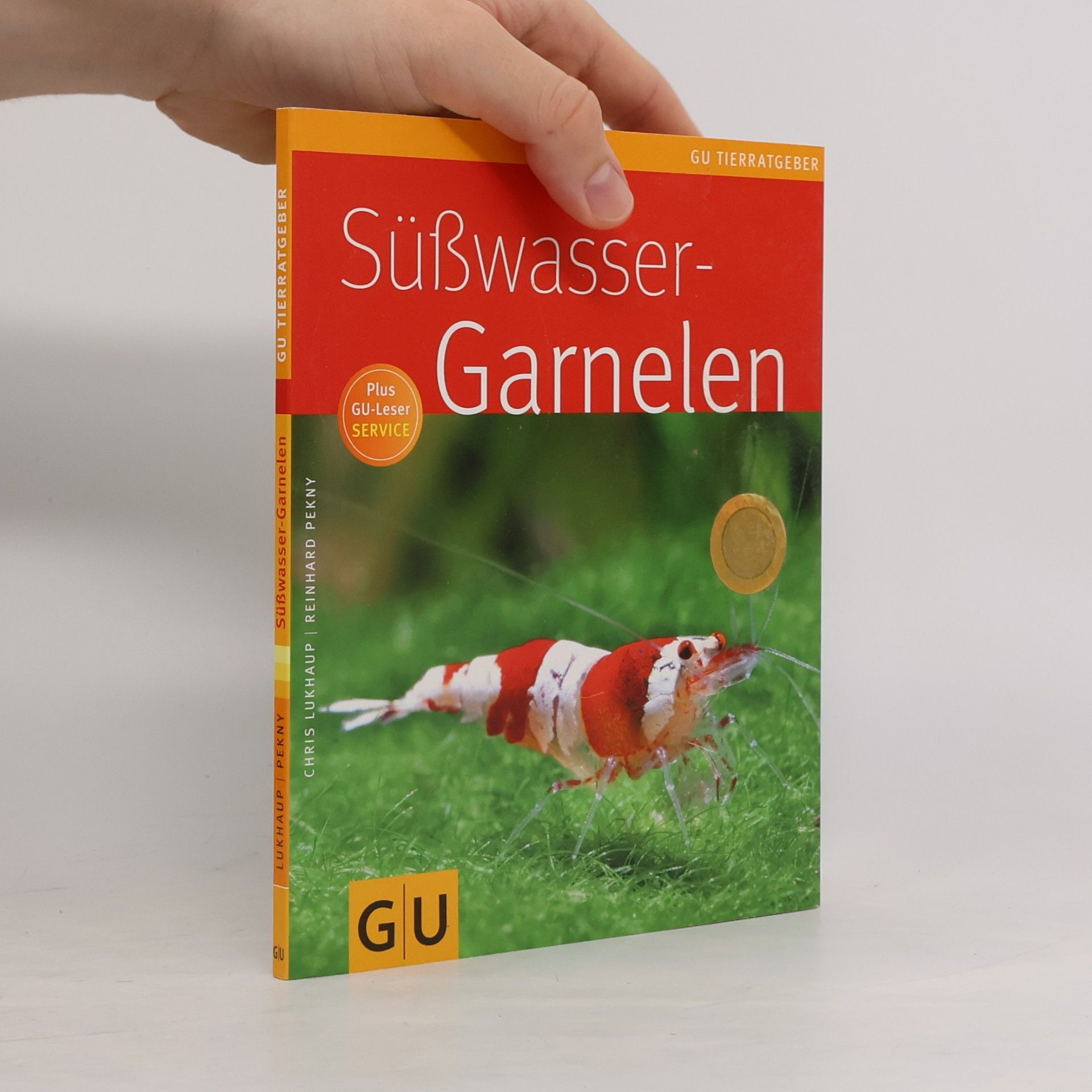 Süßwasser-Garnelen