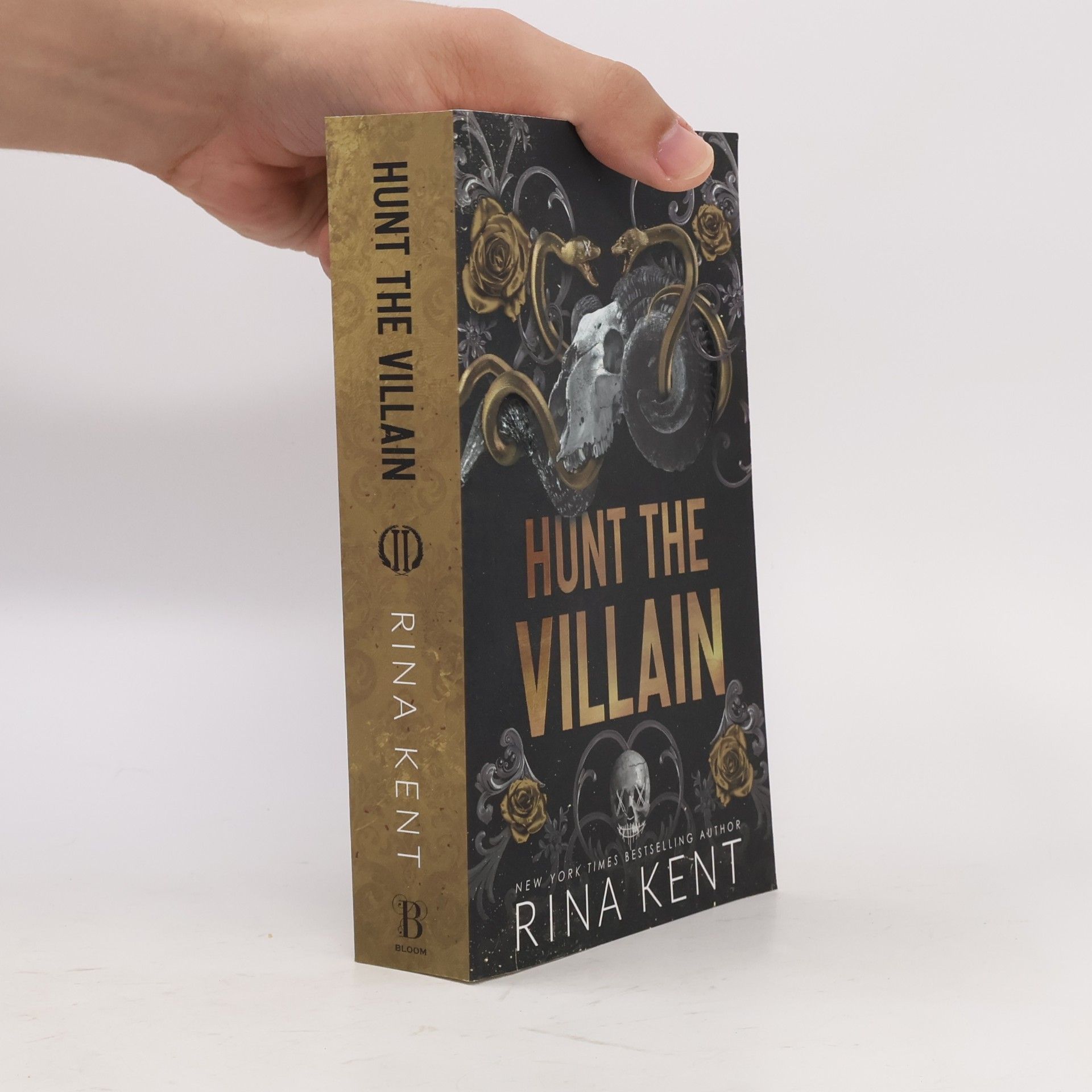 Rina Kent Hunt the Villain