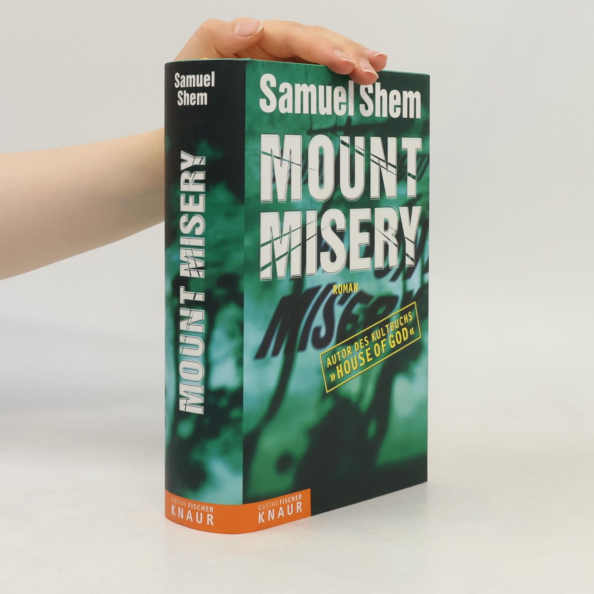 Samuel Shem Mount Misery