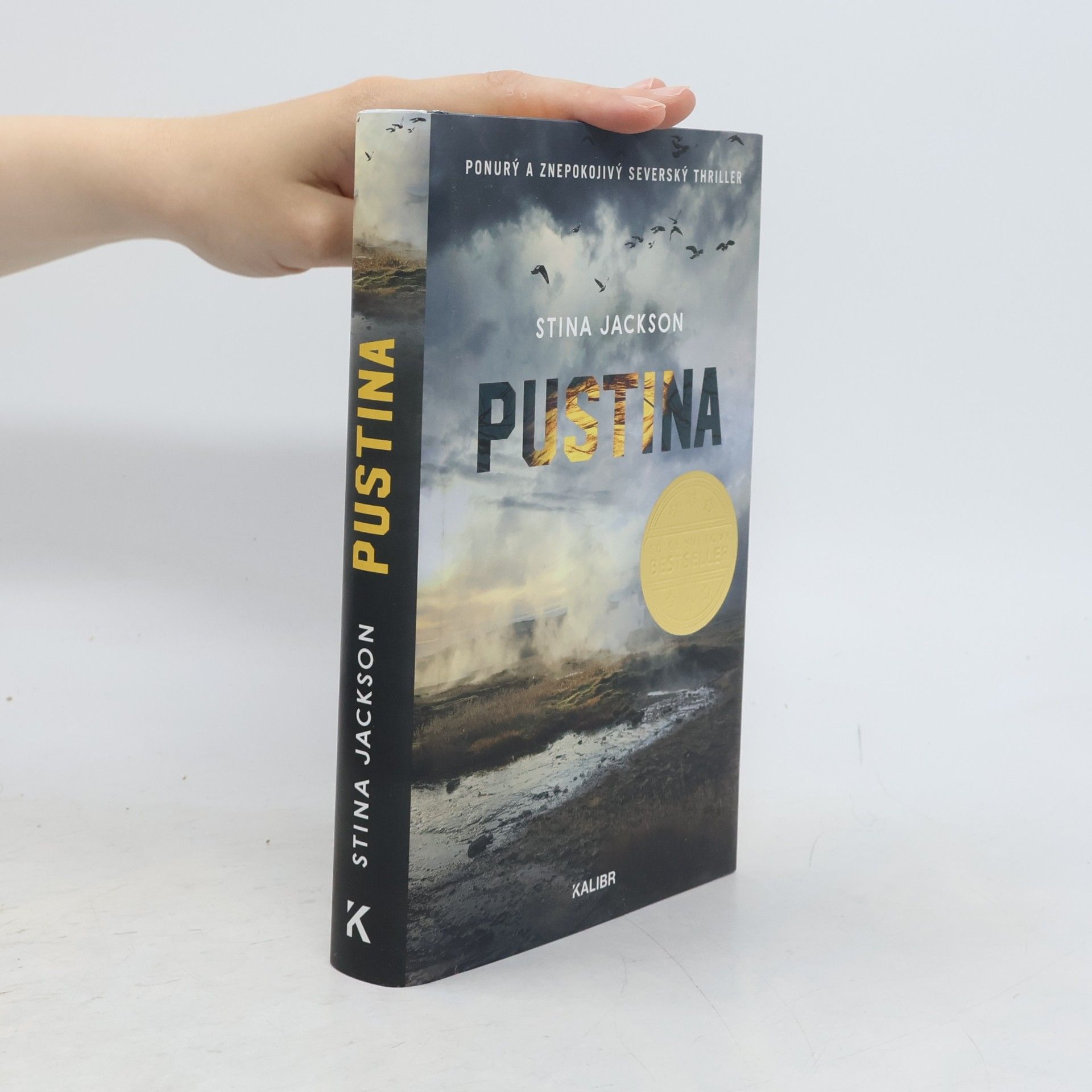 Stina Jackson Pustina