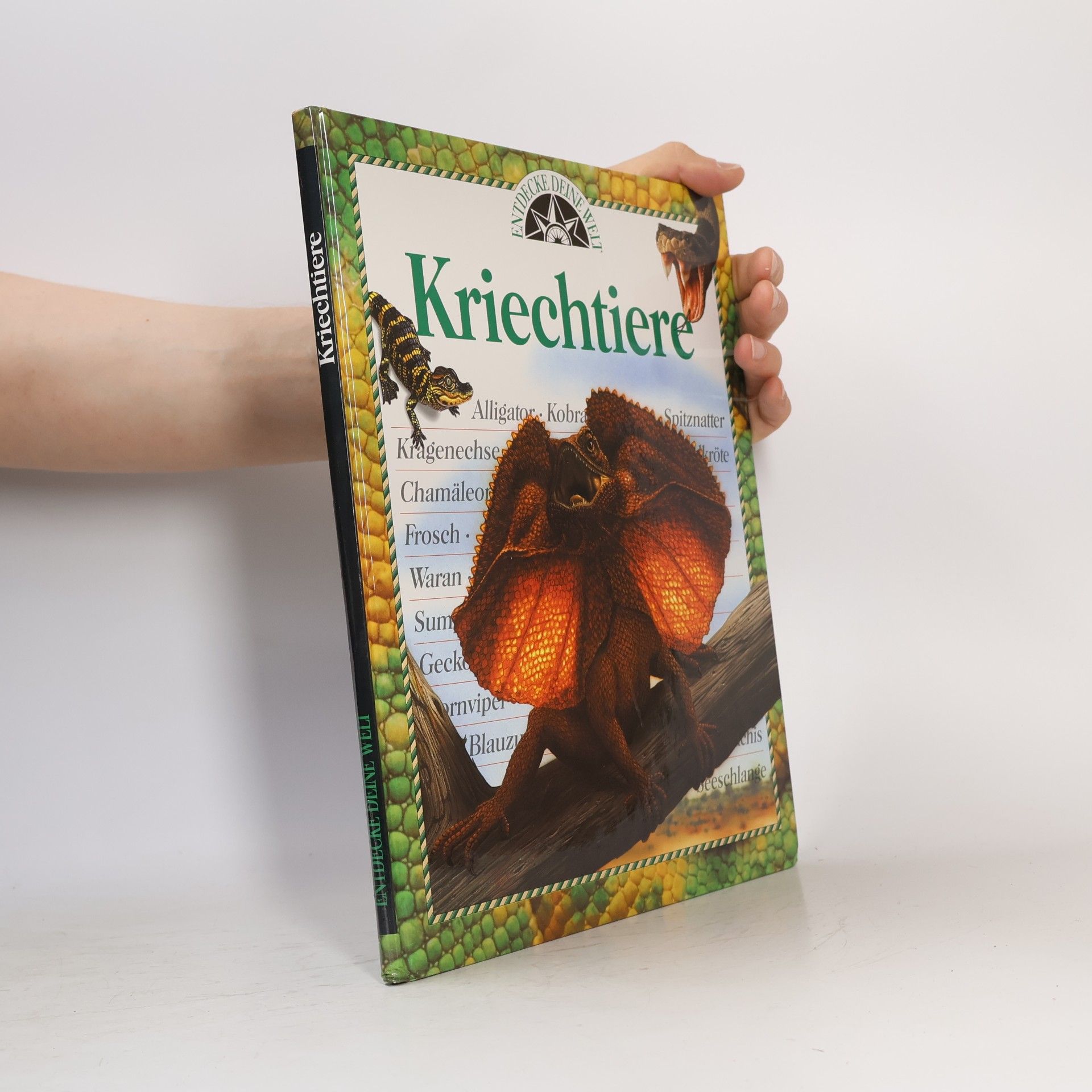 Marcus Würmli Kriechtiere