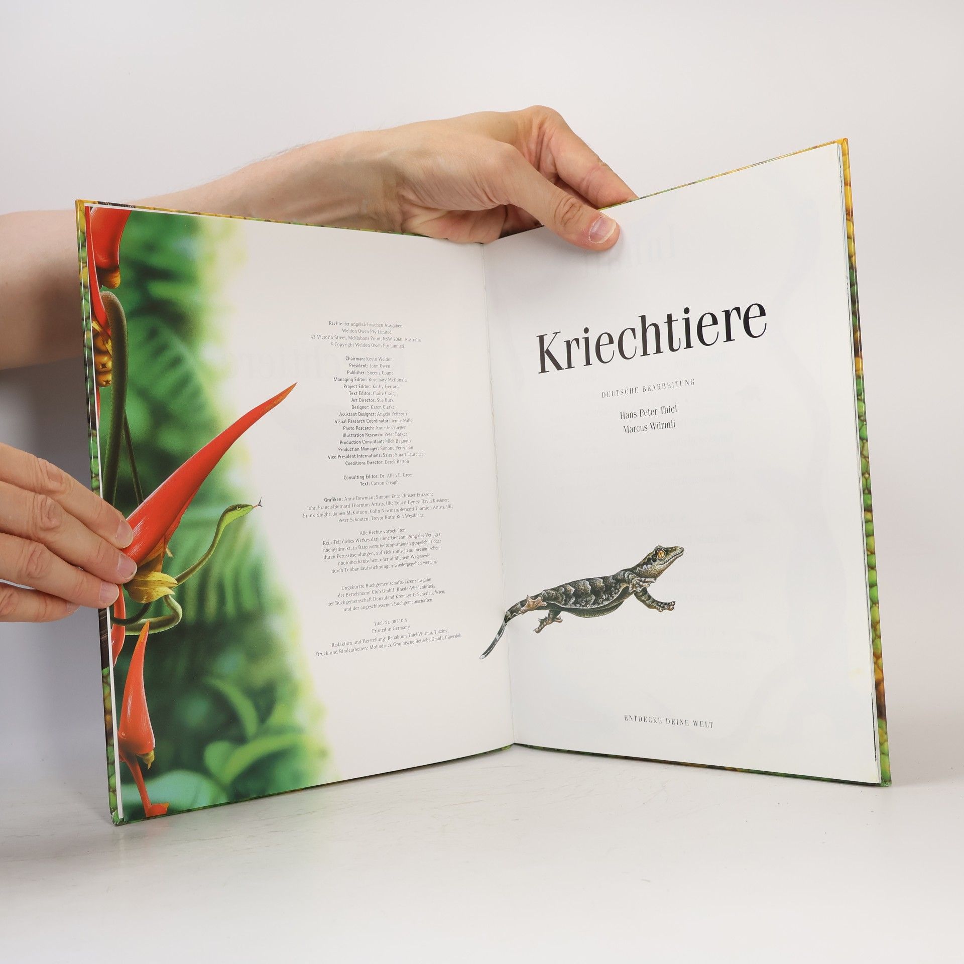 Hans-Peter Thiel Kriechtiere