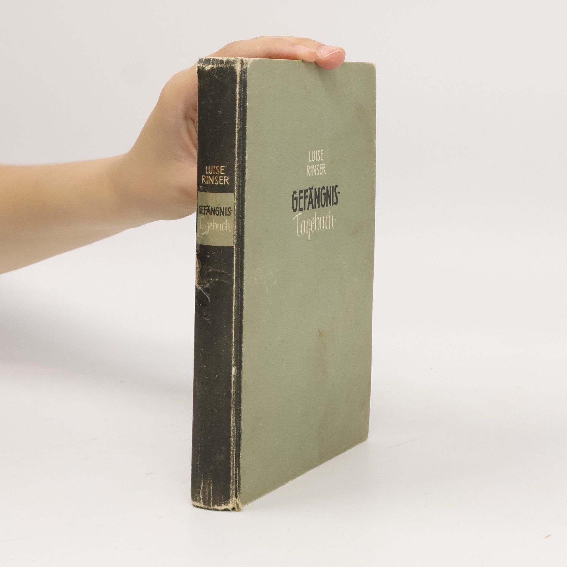 Gefängnis Tagebuch