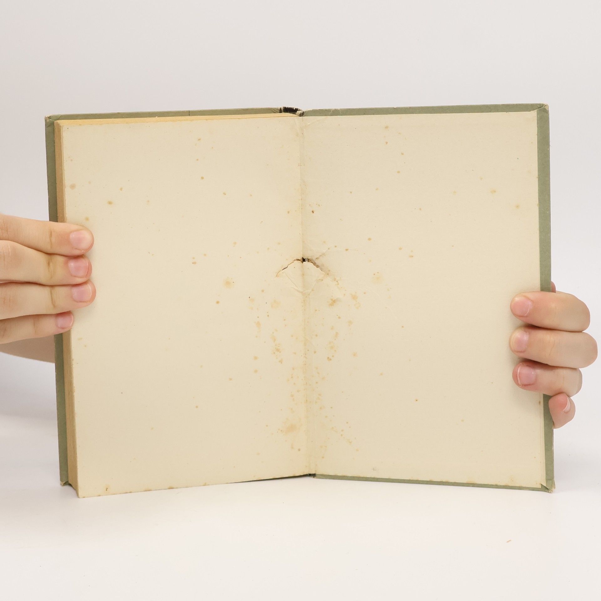 Luise Rinser Gefängnis Tagebuch