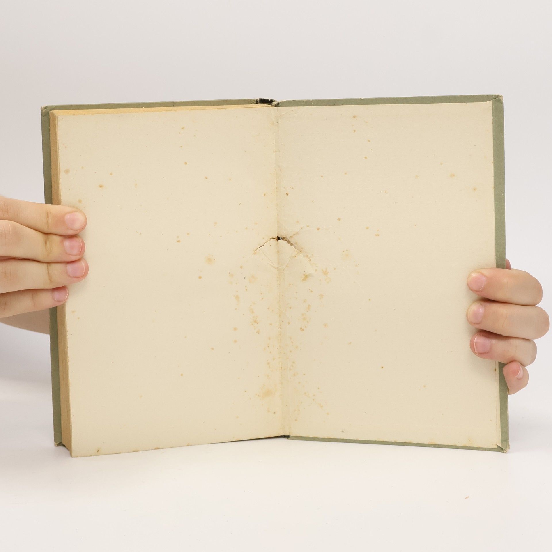 Luise Rinser Gefängnis Tagebuch
