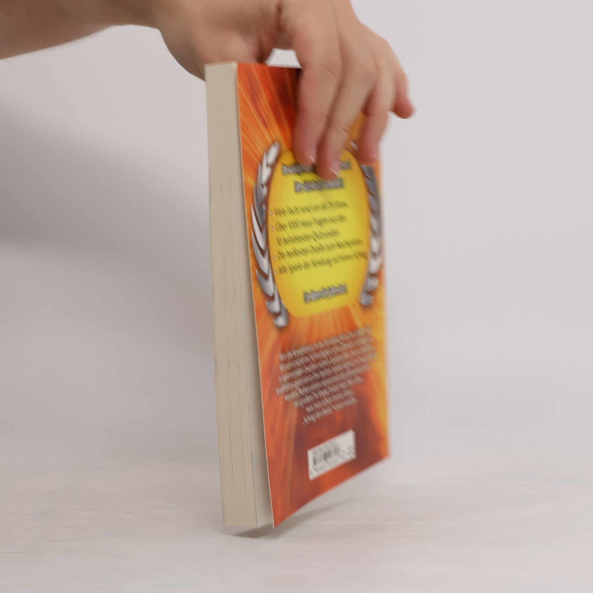 Stefan Raab Schlag den Raab - das Buch