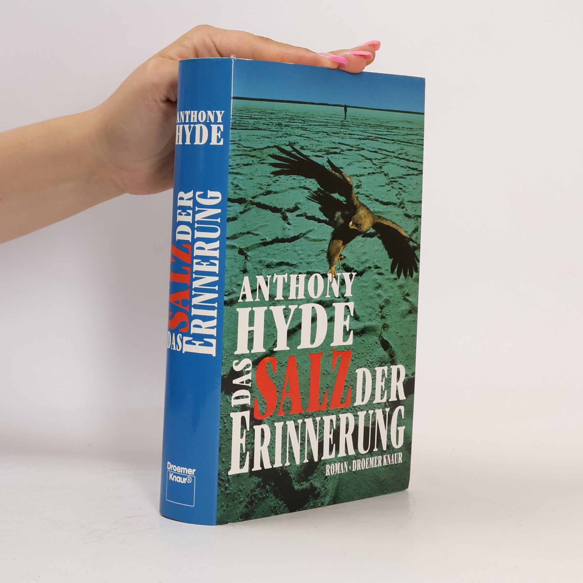 Anthony Hyde Das Salz der Erinnerung