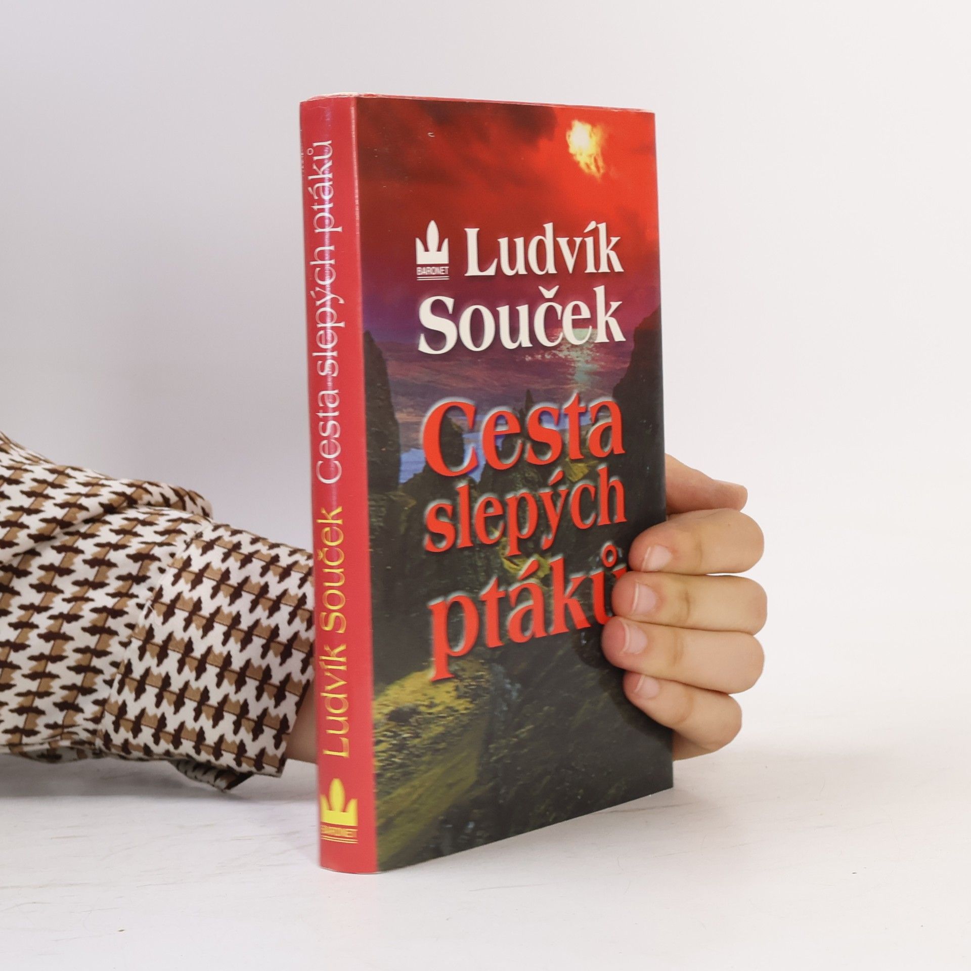 Ludvík Souček Cesta slepých ptáků