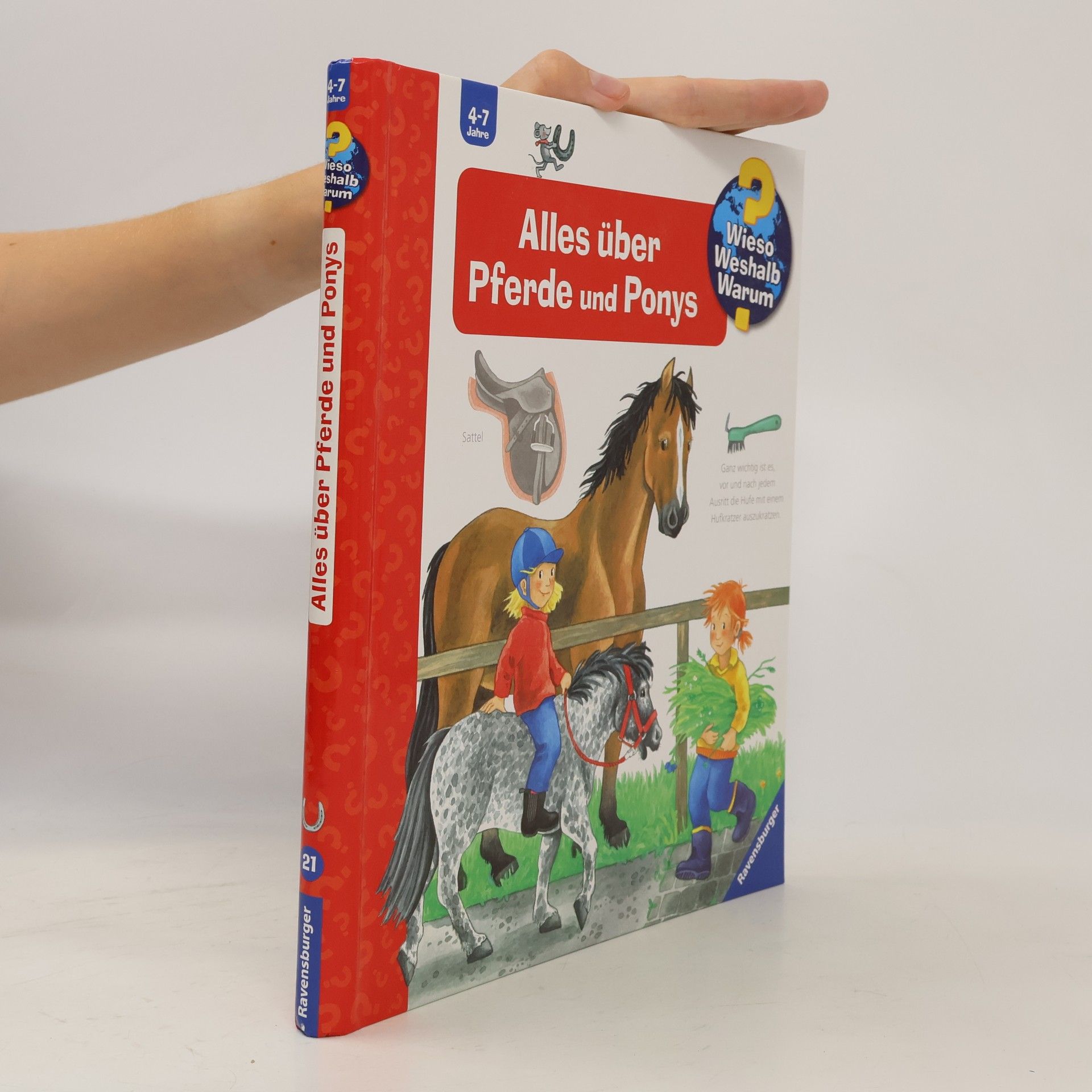 Andrea Erne Alles über Pferde und Ponys